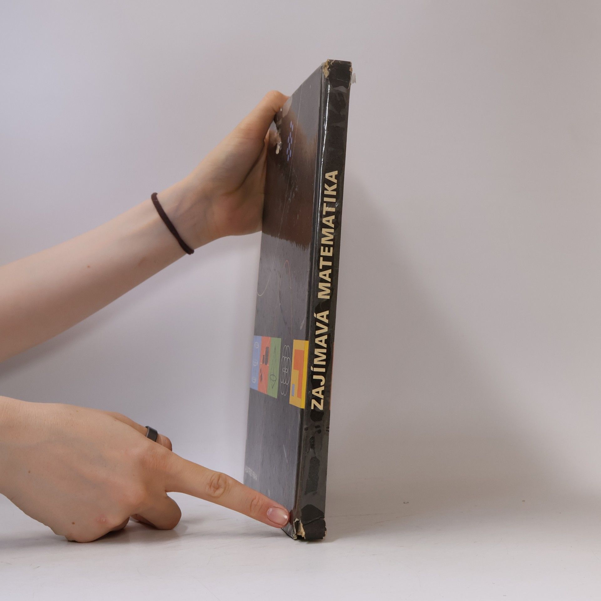 Autores varios Zajímavá matematika
