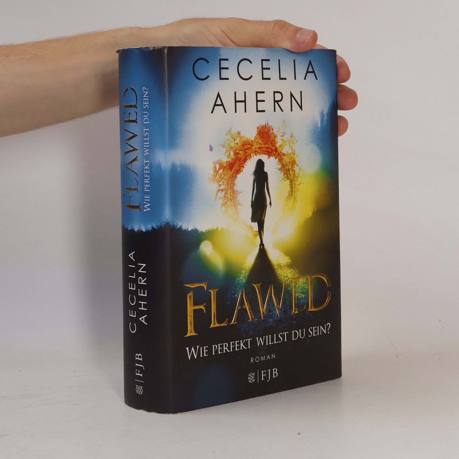 Cecelia Ahern Flawed - wie perfekt willst du sein?