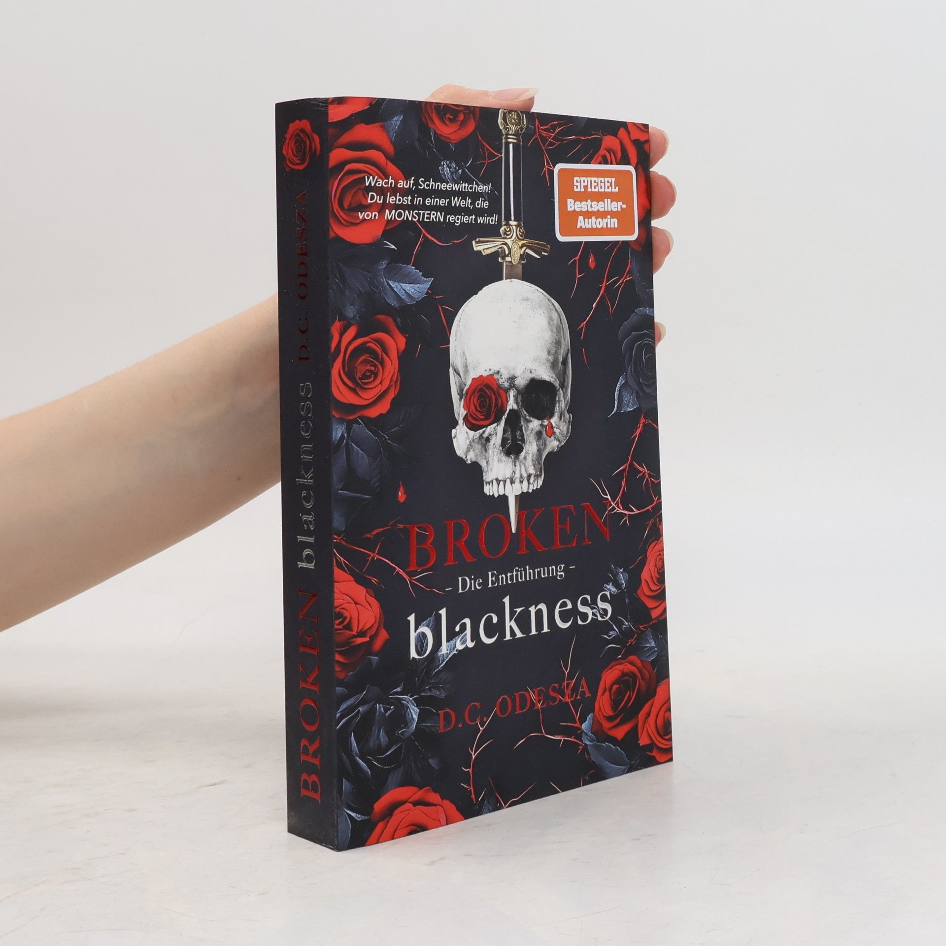 Broken blackness. Die Entführung