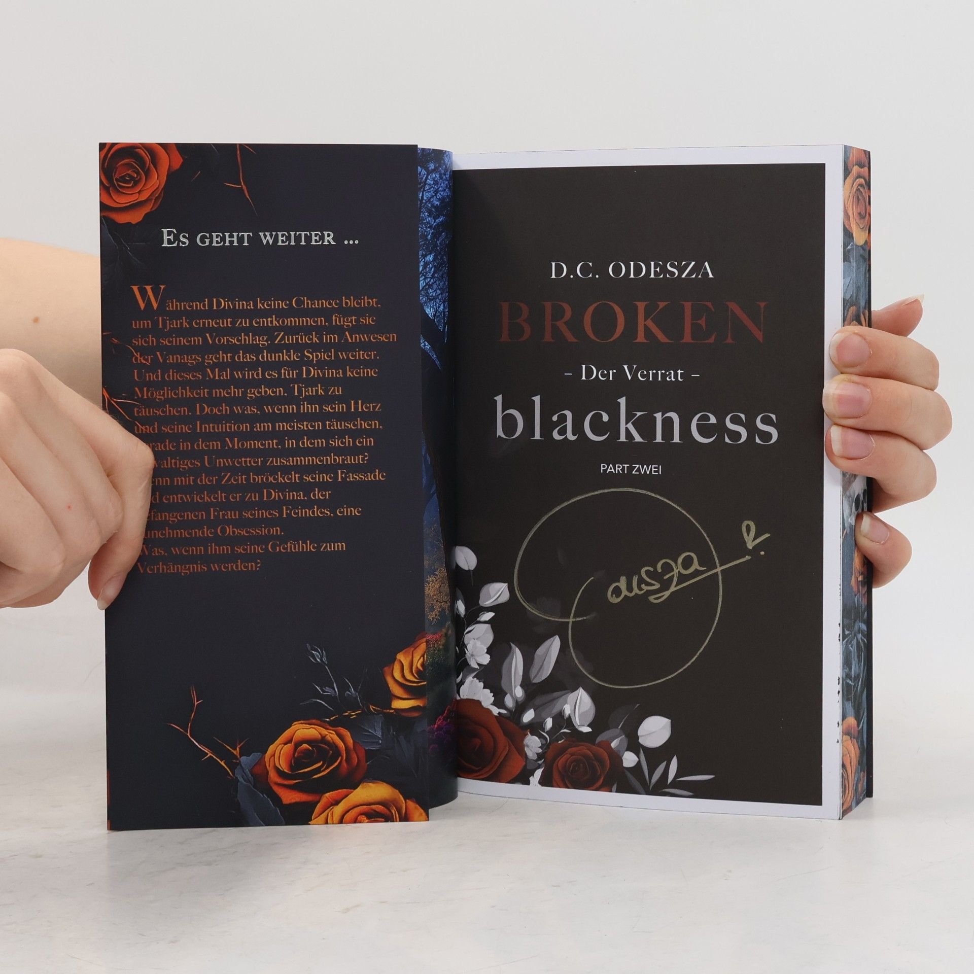 D. C. Odesza Broken Blackness. Der Verrat