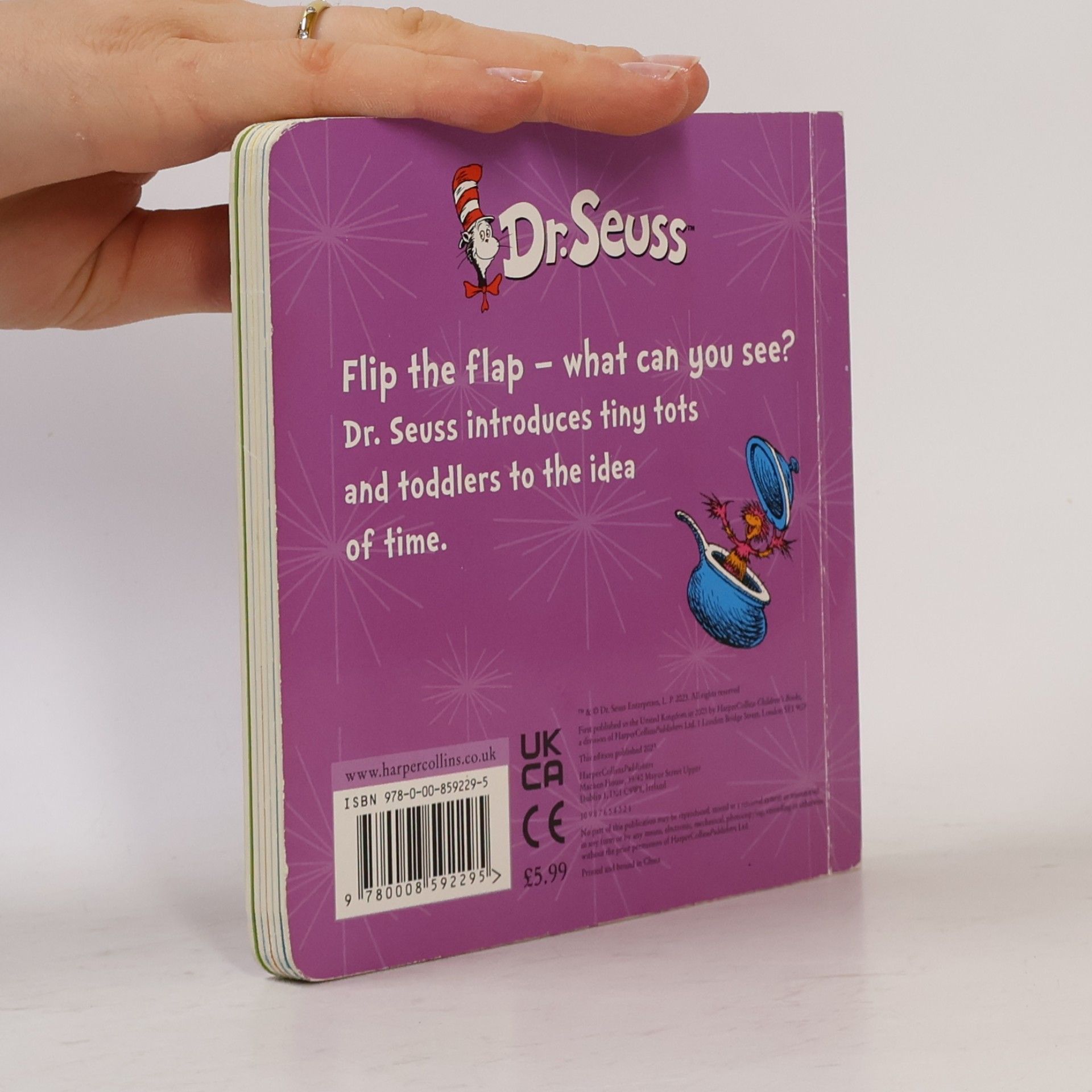 Dr. Seuss Dizzy Days: A flip-the-flap book