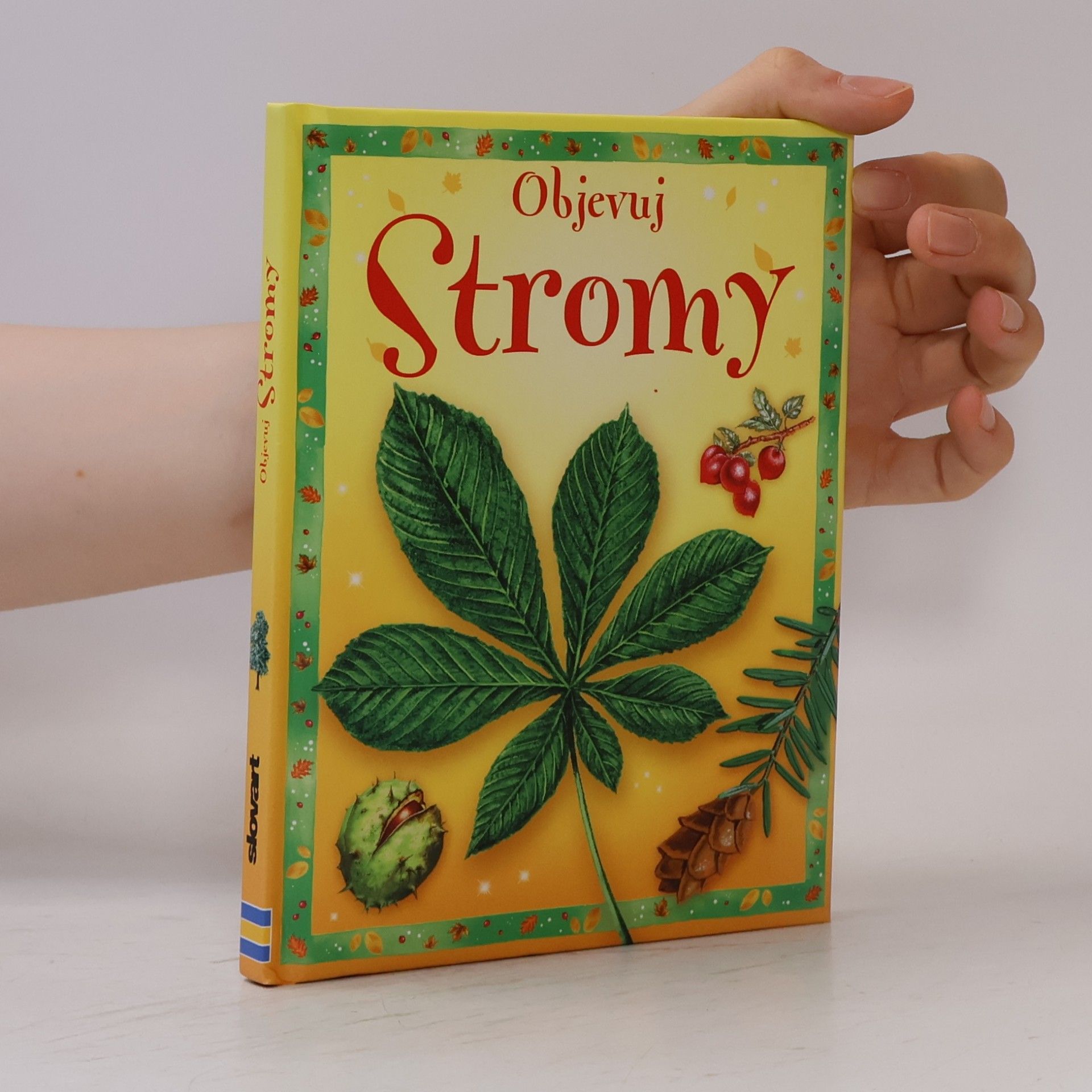 Stromy
