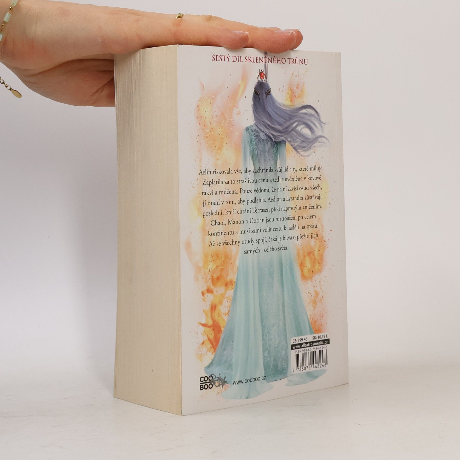 Sarah J. Maas Království popela