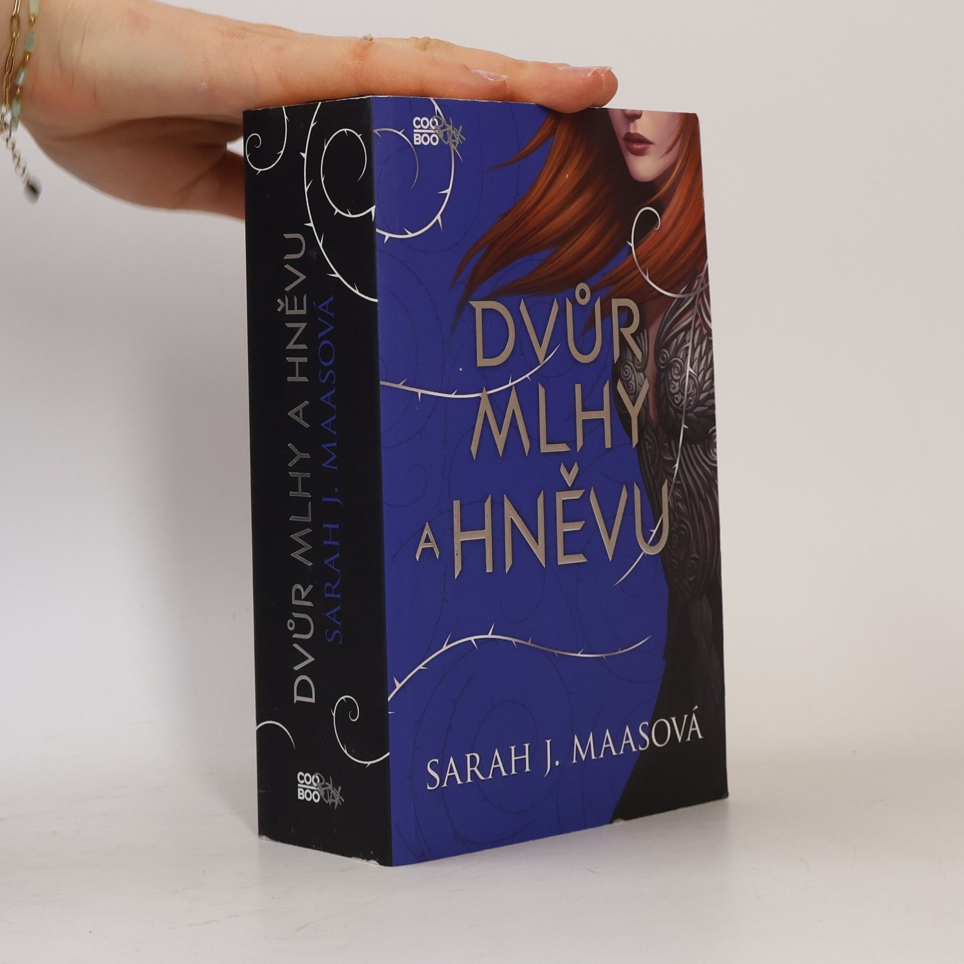 Sarah J. Maas Dvůr mlhy a hněvu