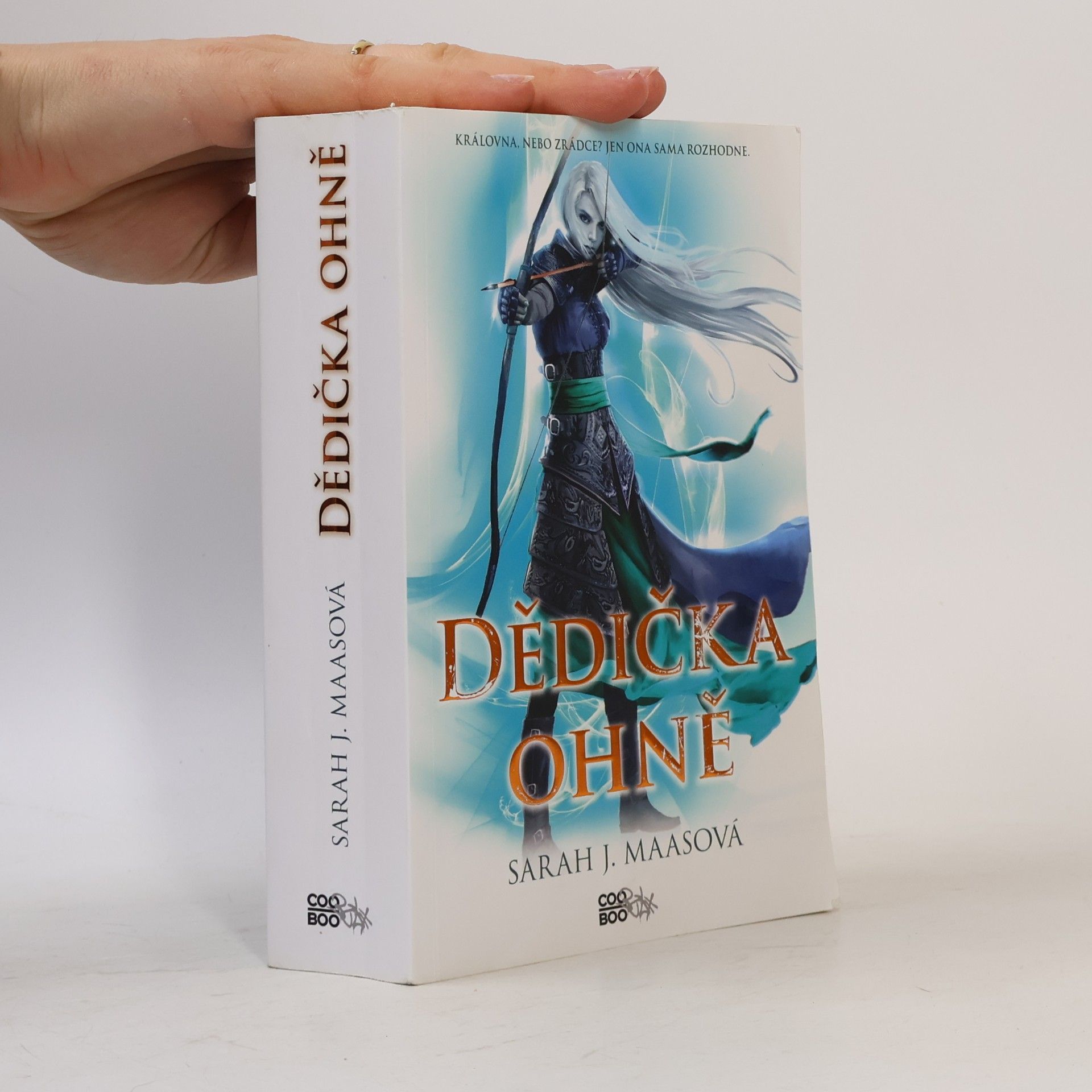 Sarah J. Maas Dědička ohně