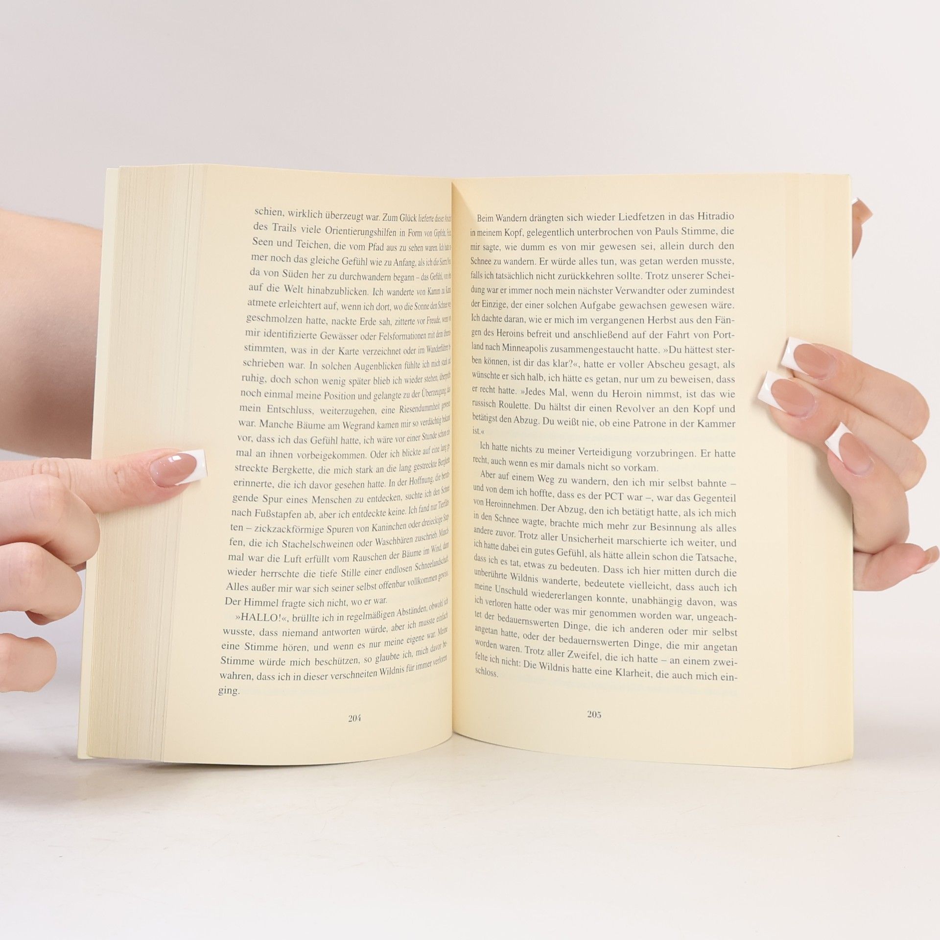 Cheryl Strayed Der große Trip - WILD