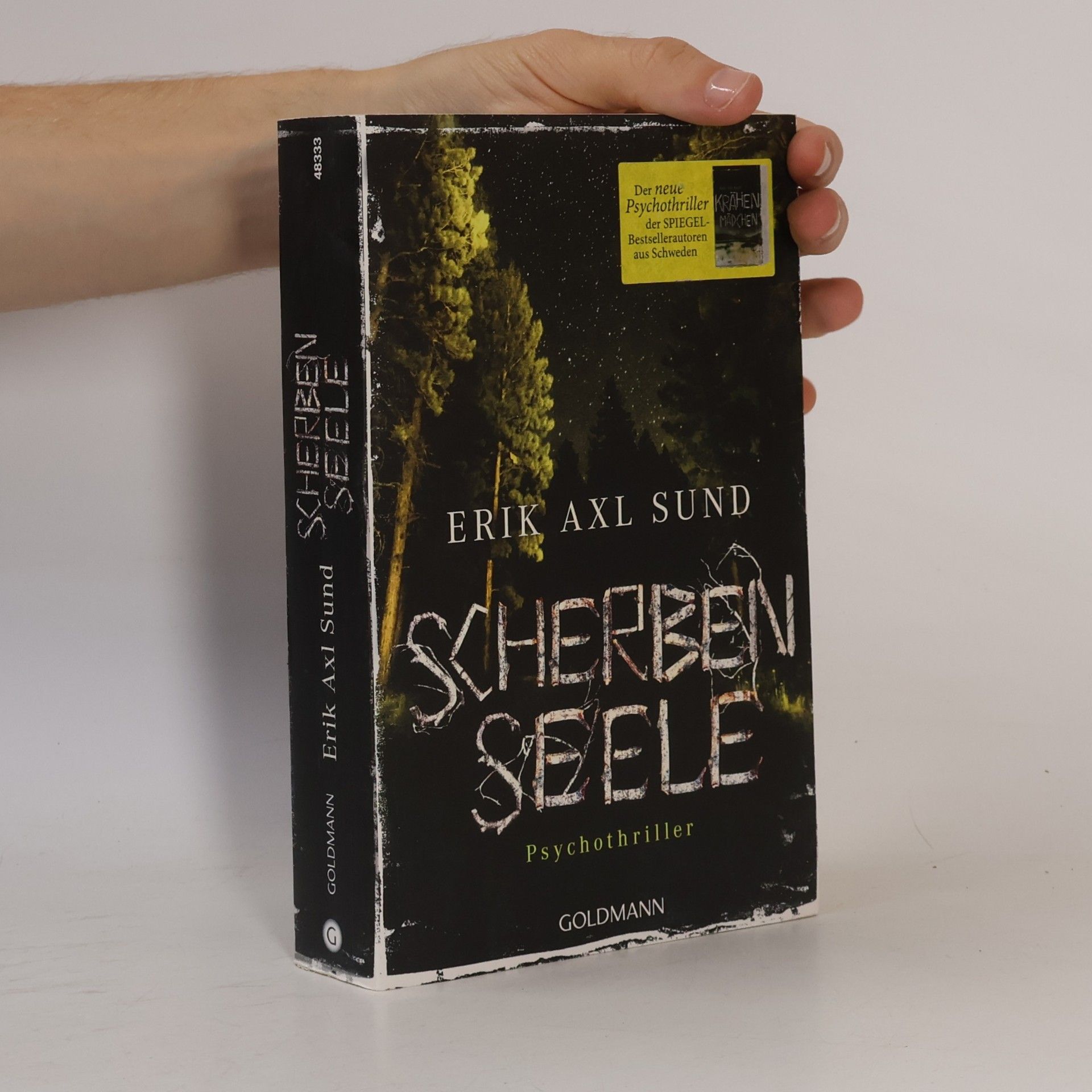 Erik Axl Sund Scherbenseele
