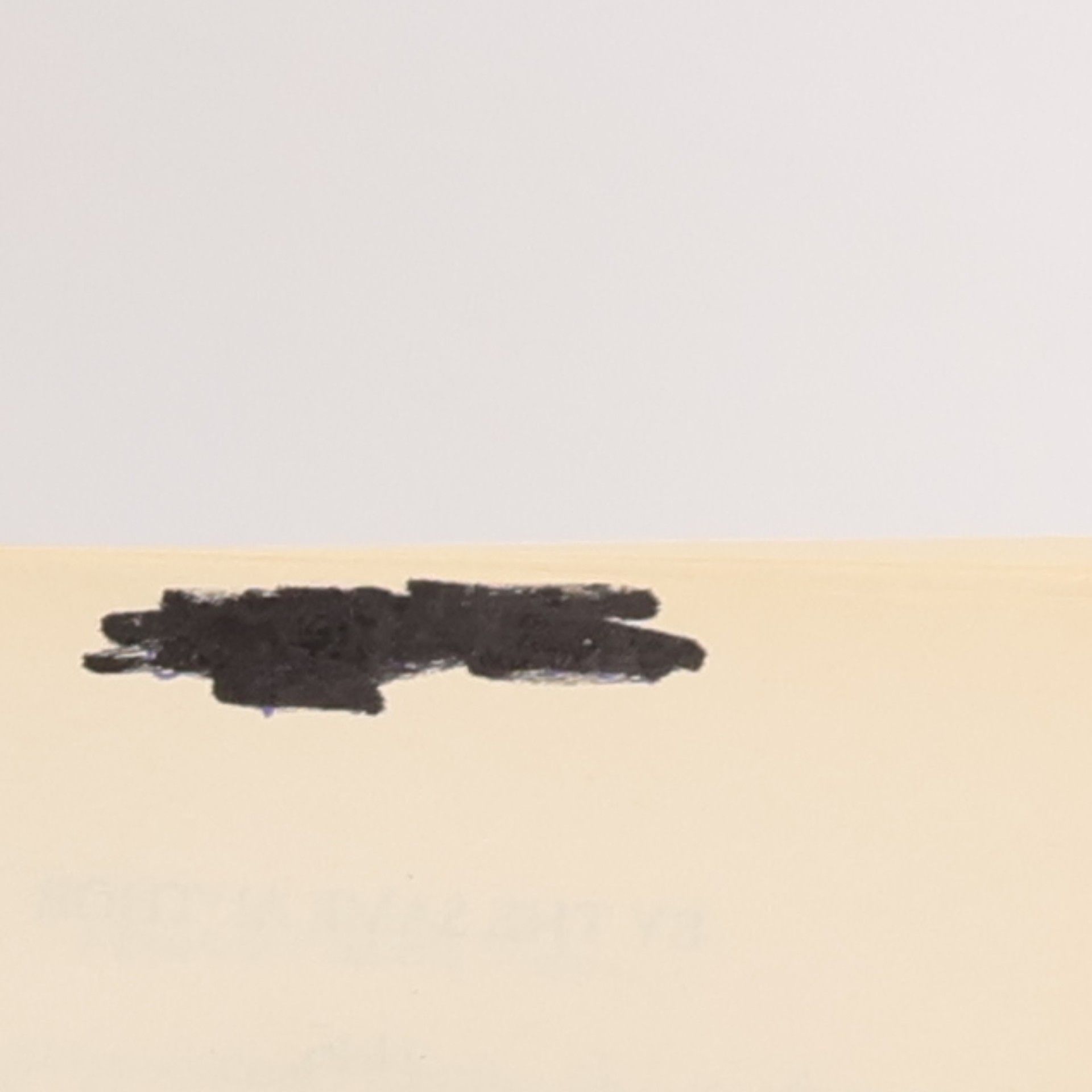 Louis Sachar Small Steps