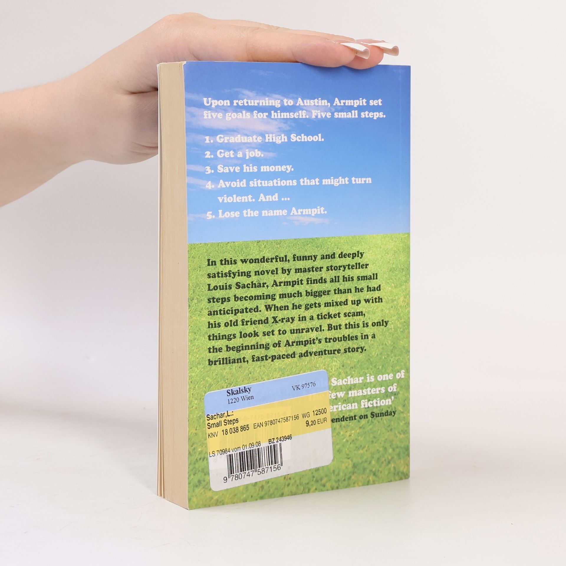Louis Sachar Small Steps