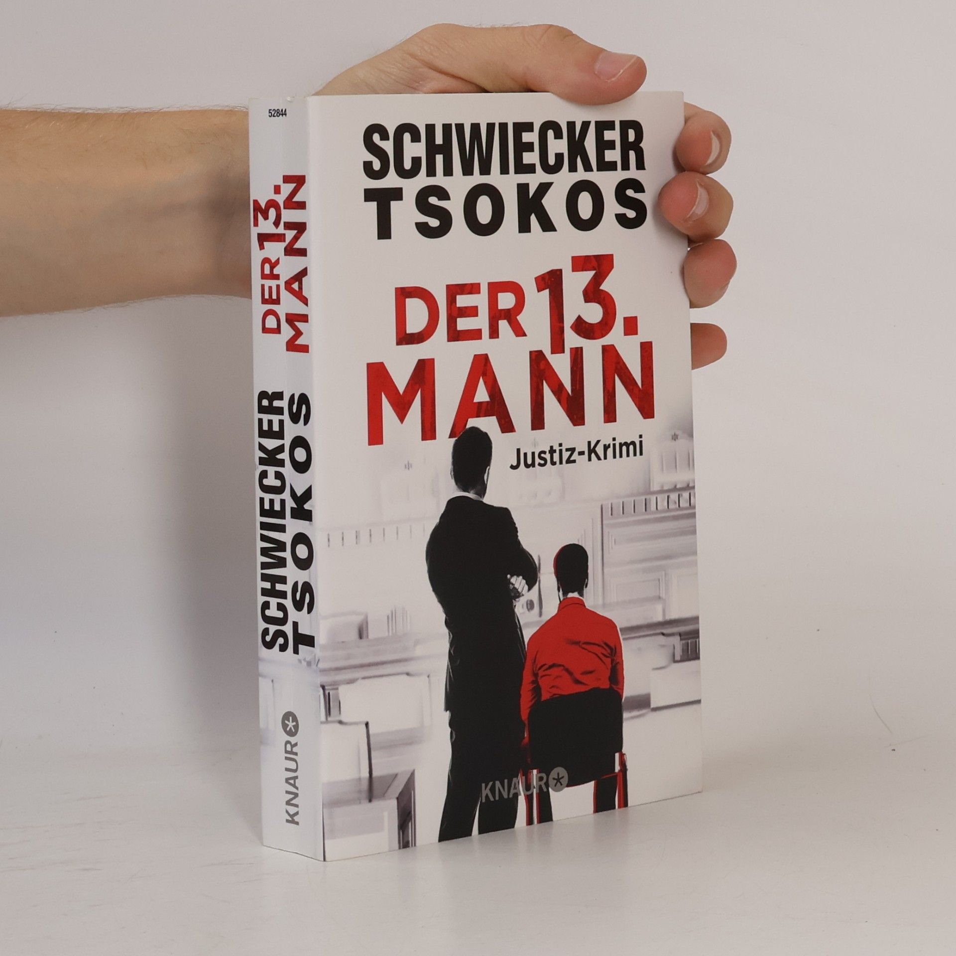 Michael Tsokos Der 13. Mann