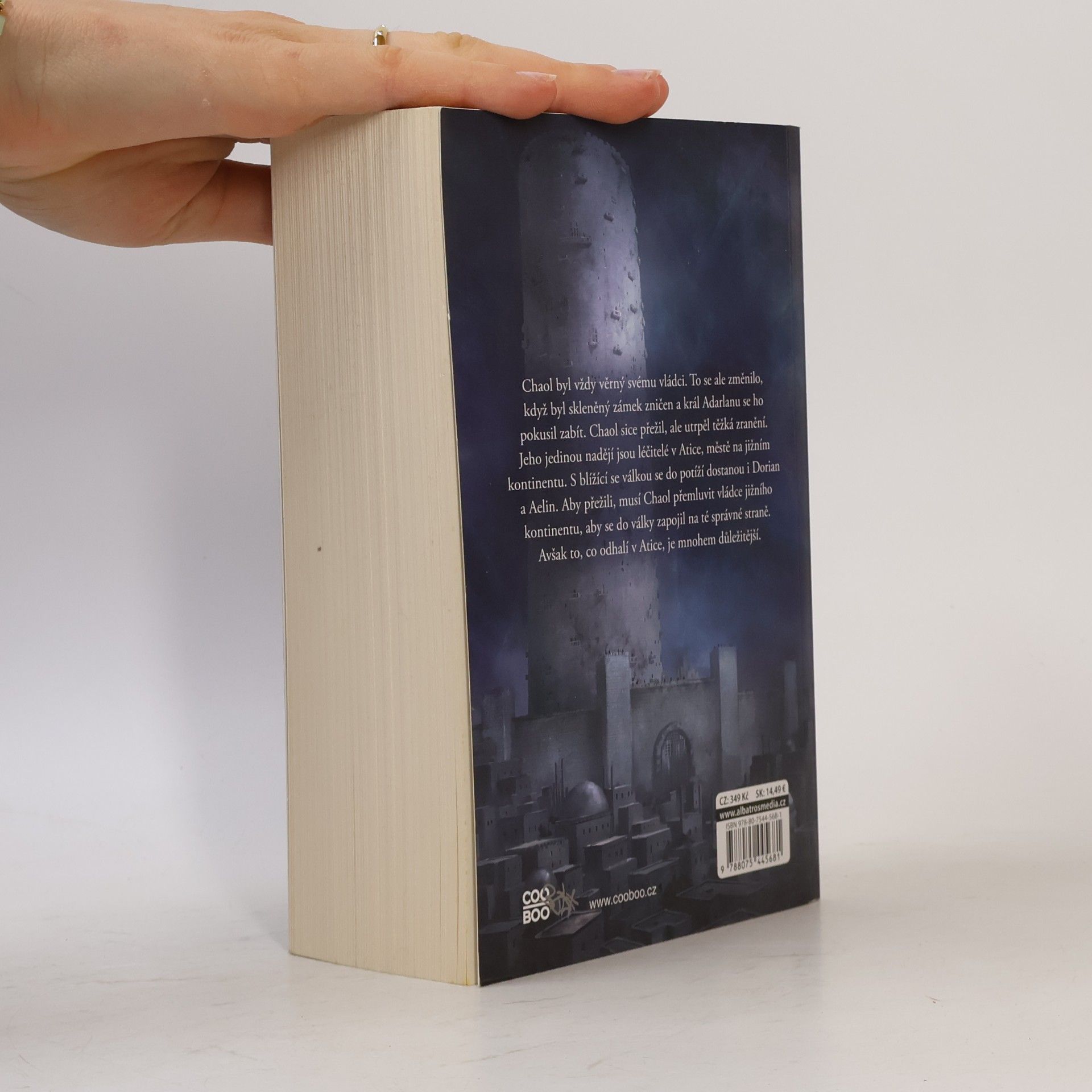 Sarah J. Maas Věž úsvitu