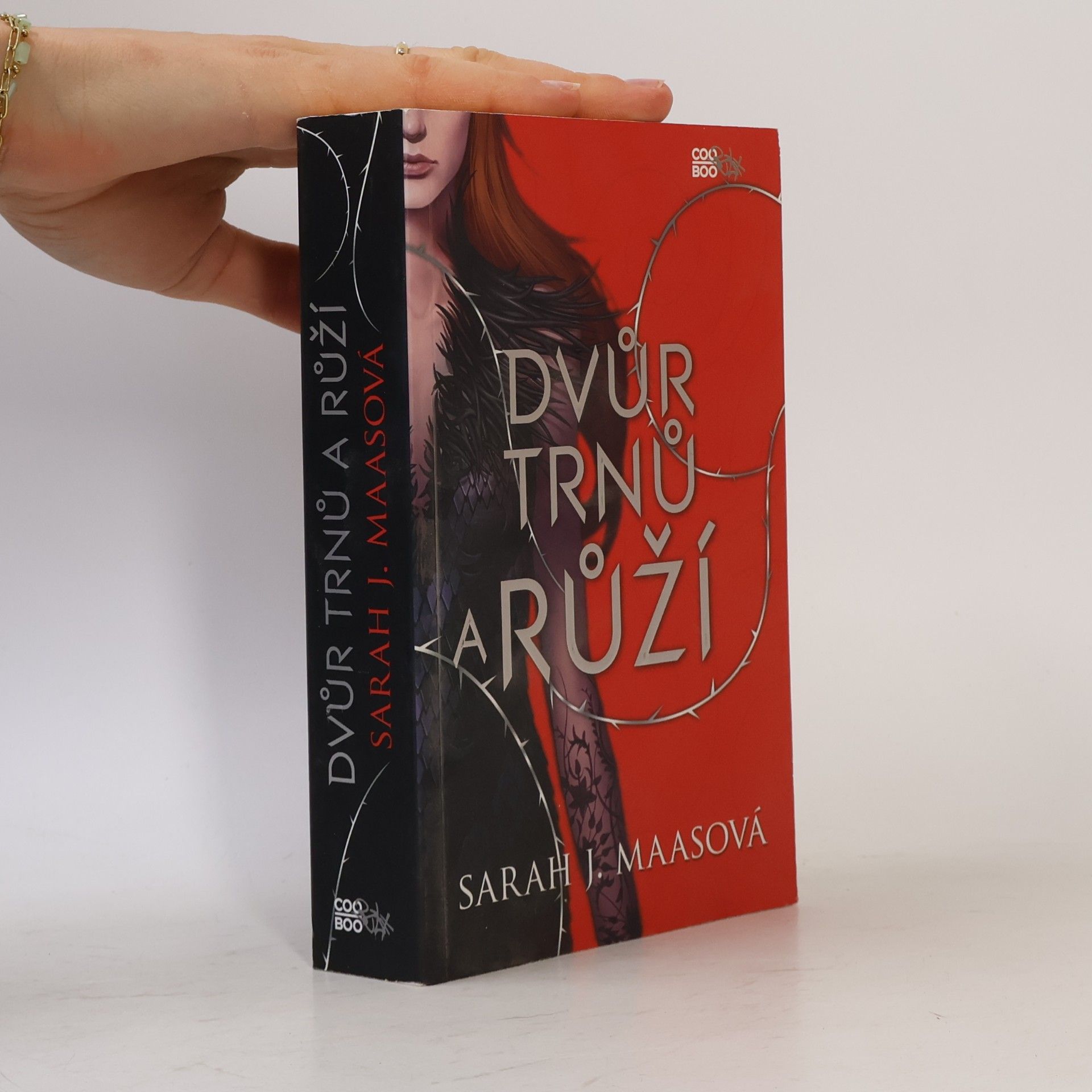 Sarah J. Maas Dvůr trnů a růží