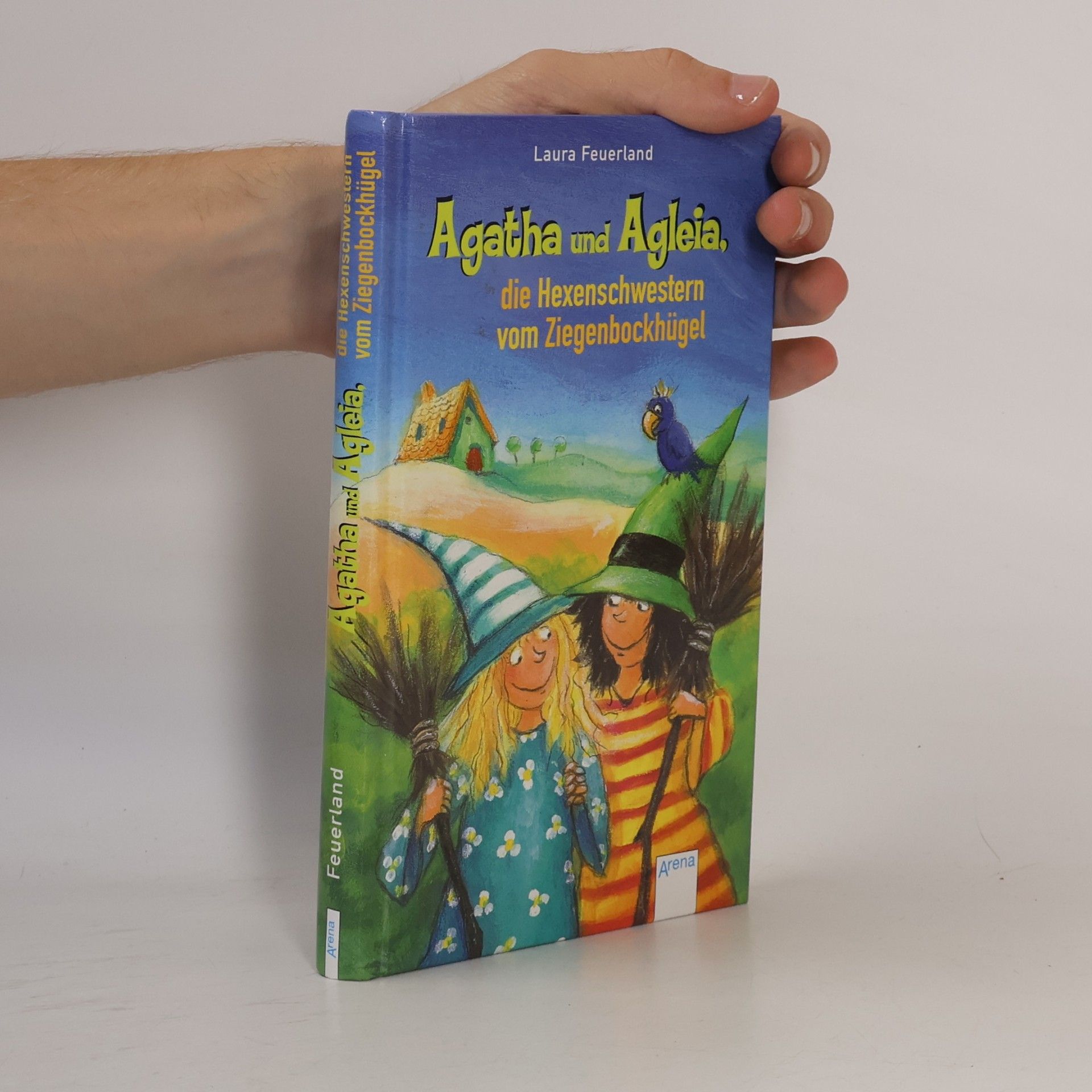 Laura Feuerland Agatha und Agleia, die Hexenschwestern vom Ziegenbockhügel