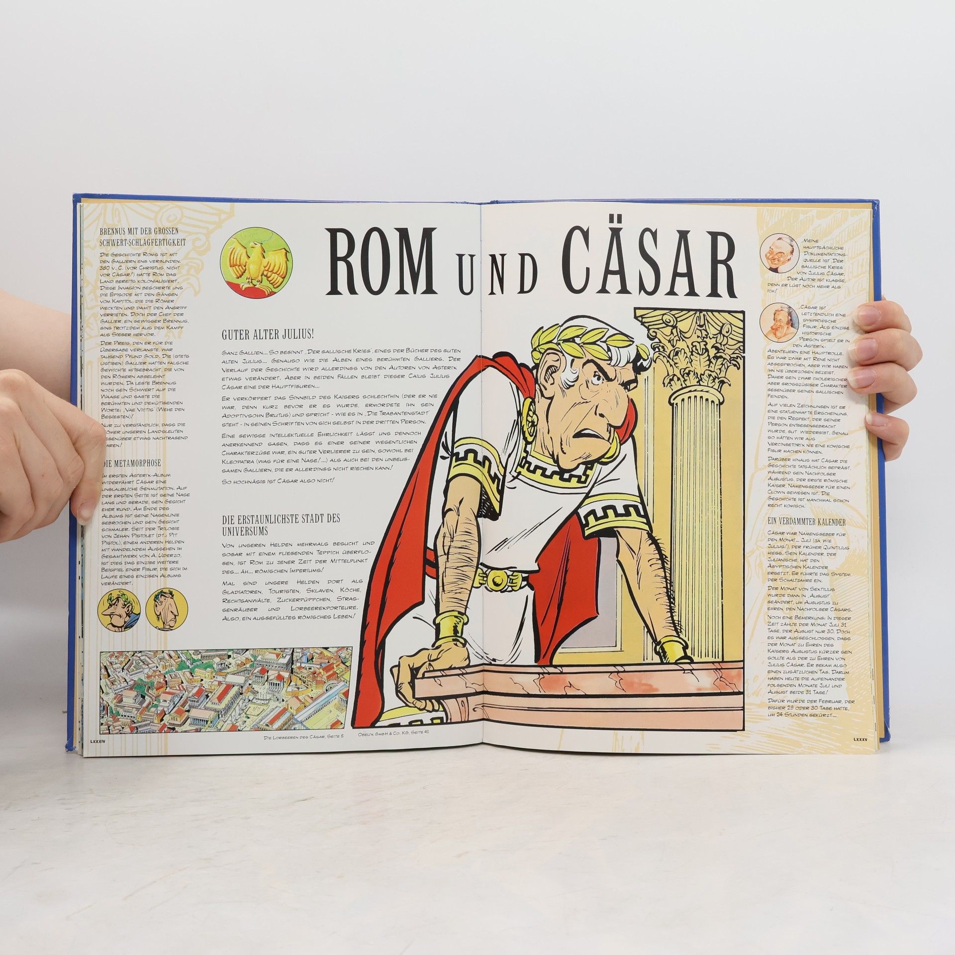 René Goscinny Asterix: Das Kultbuch