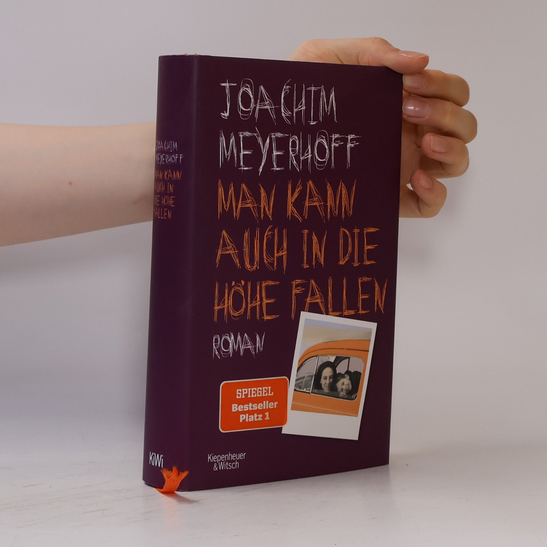 Joachim Meyerhoff Man kann auch in die Höhe fallen