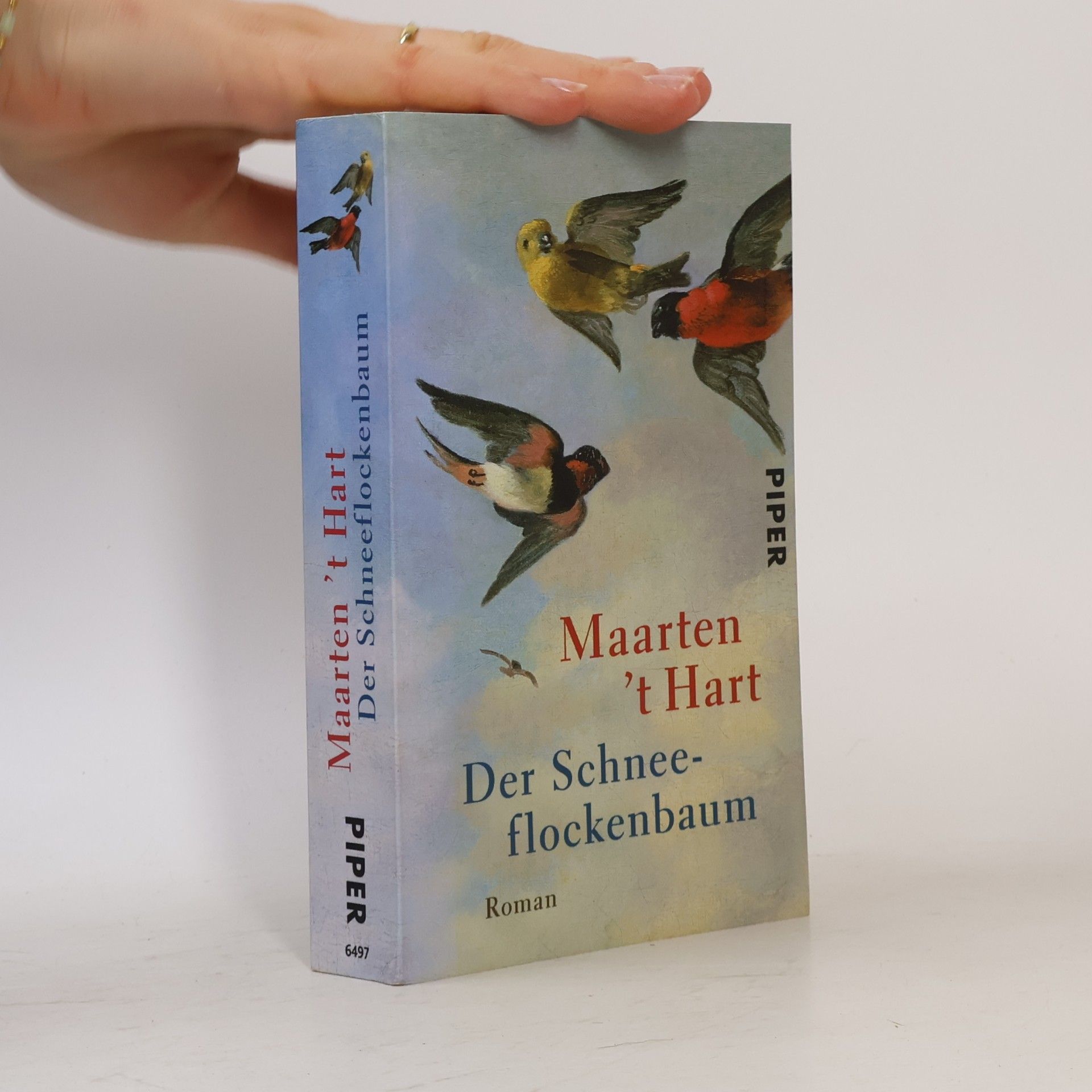 Maarten t. Hart Der Schneeflockenbaum