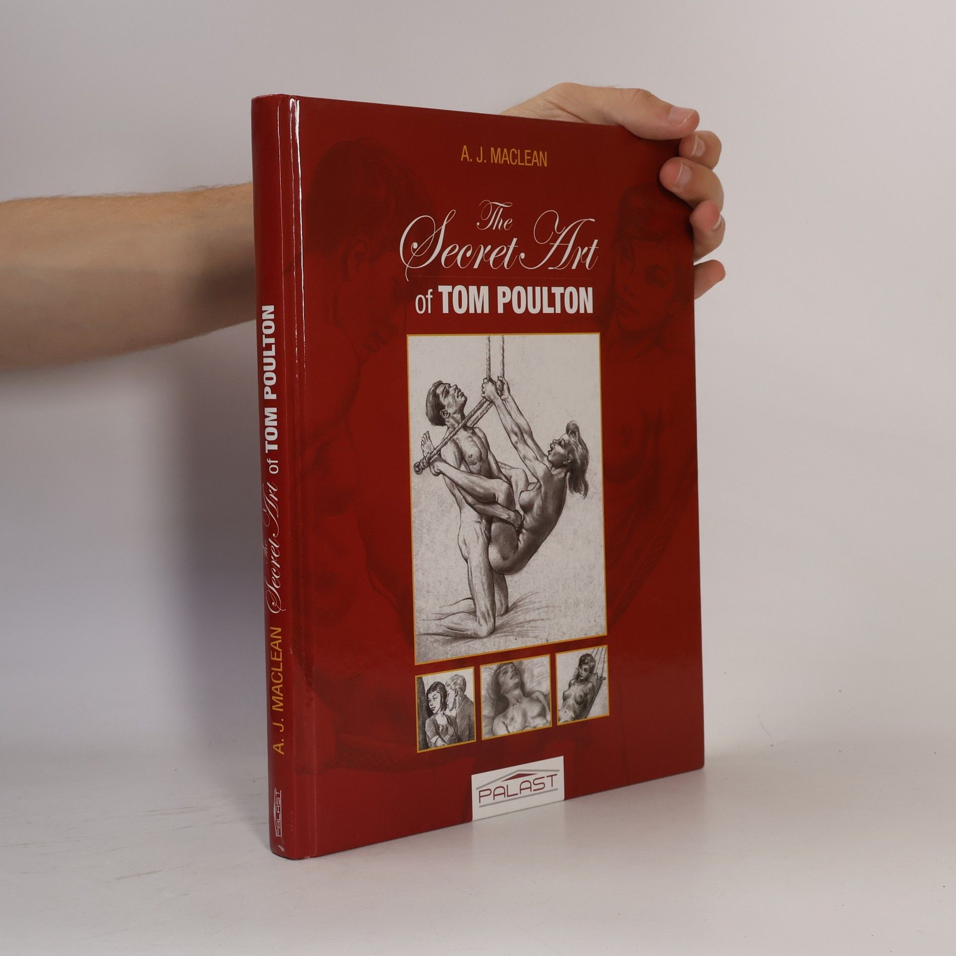 A.J. Maclean The Secret Art of Tom Pulton
