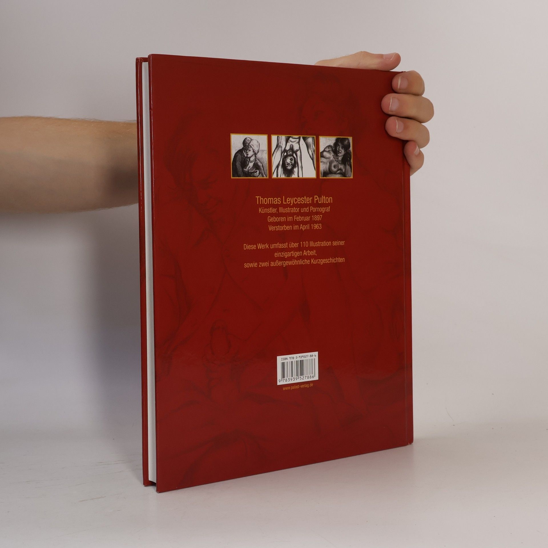 A.J. Maclean The Secret Art of Tom Pulton