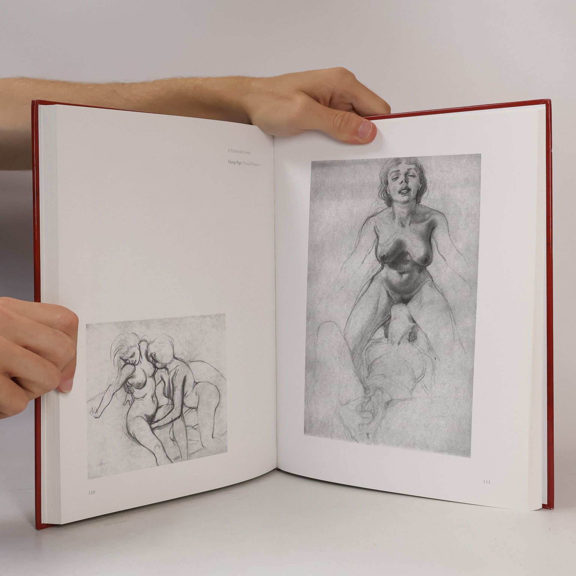A.J. Maclean The Secret Art of Tom Pulton