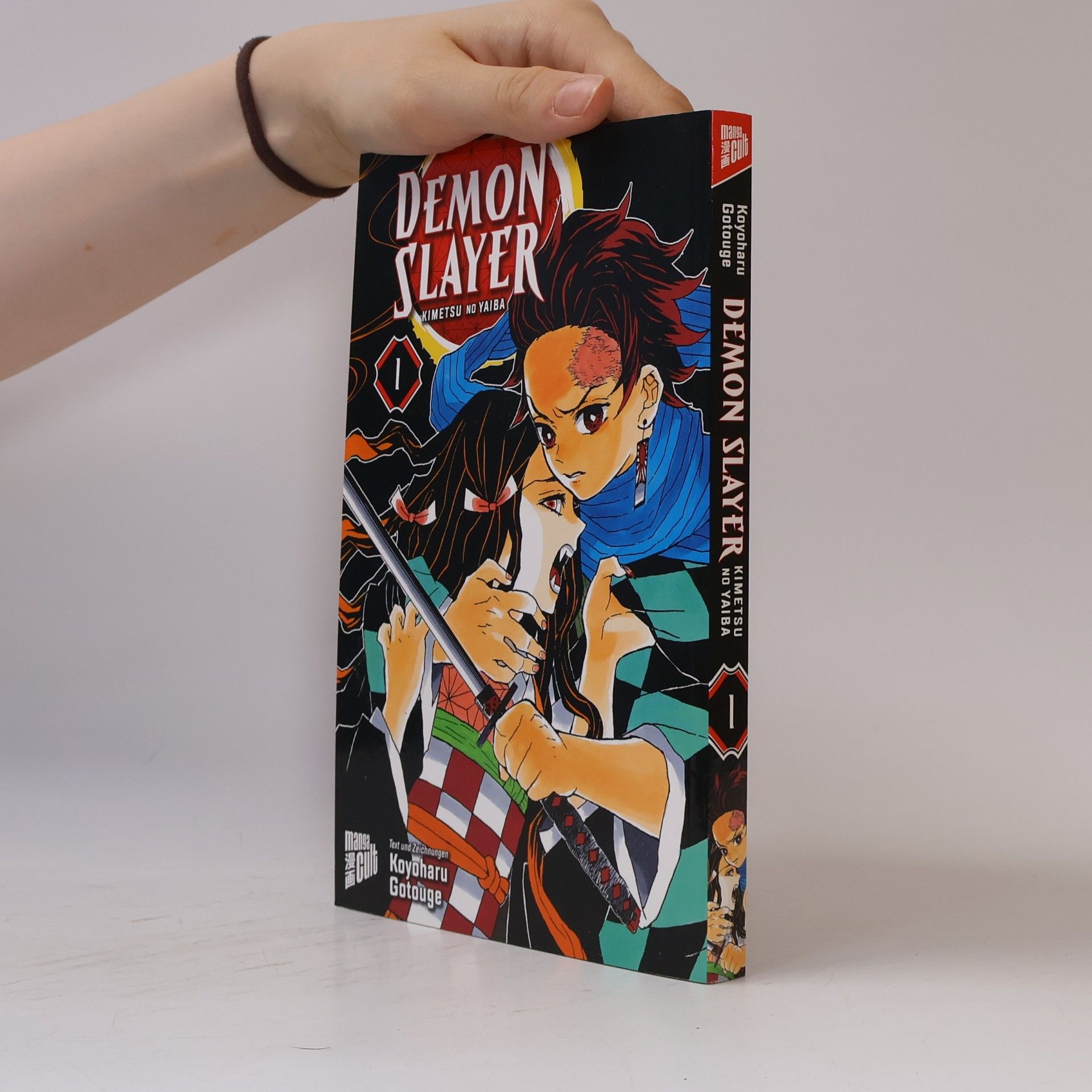 Koyoharu Gotoge Demon Slayer 1