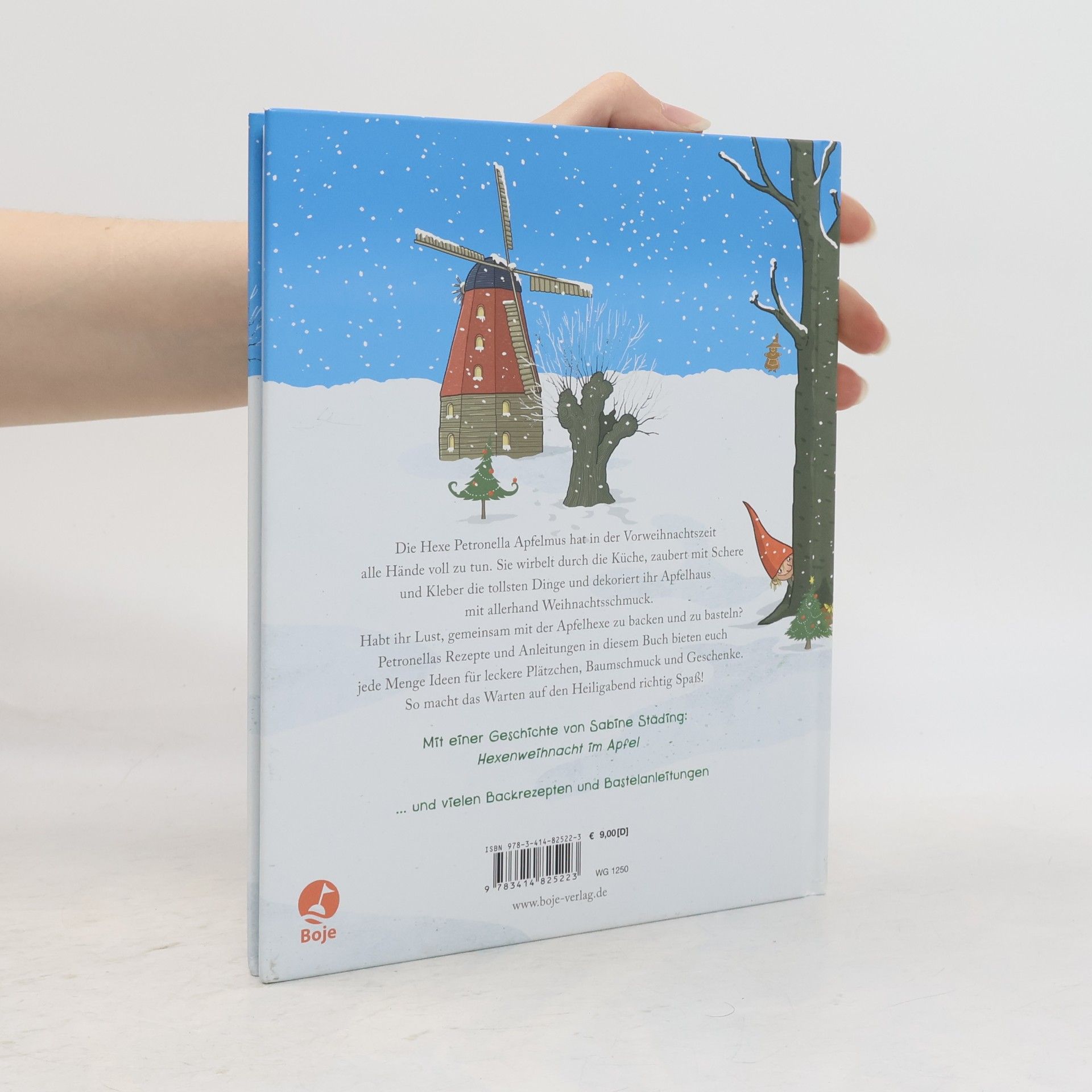 Sabine Städing Petronella Apfelmus - mein weihnachtliches Back- und Bastelbuch