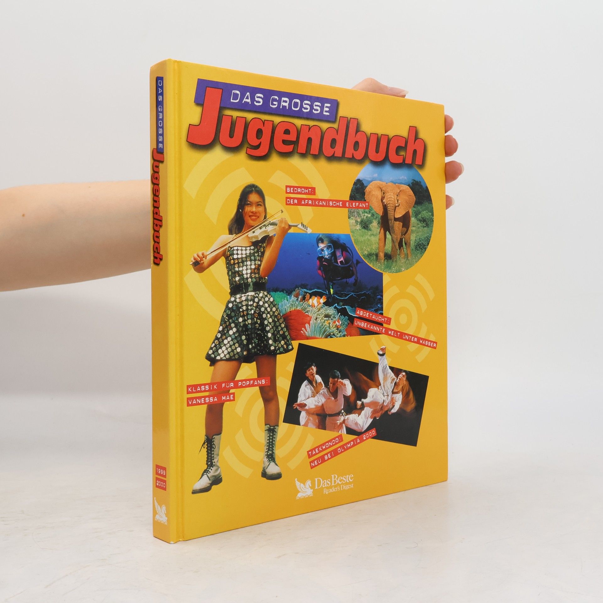 Autorenkollektiv Das grosse Jugendbuch