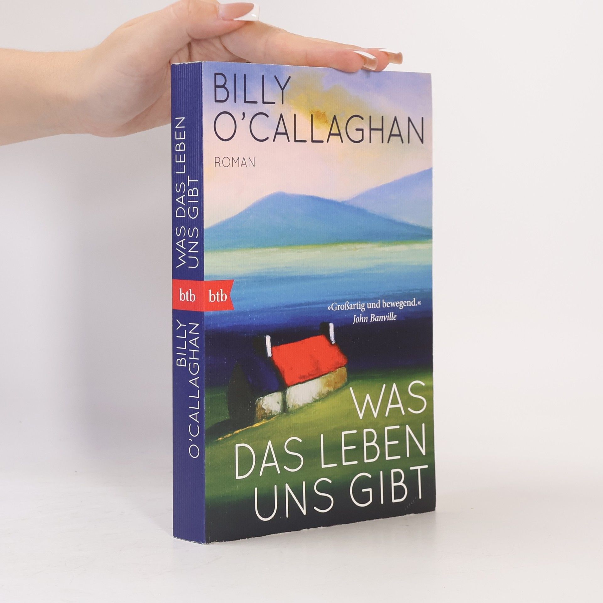 Billy O. Callaghan Was das Leben uns gibt
