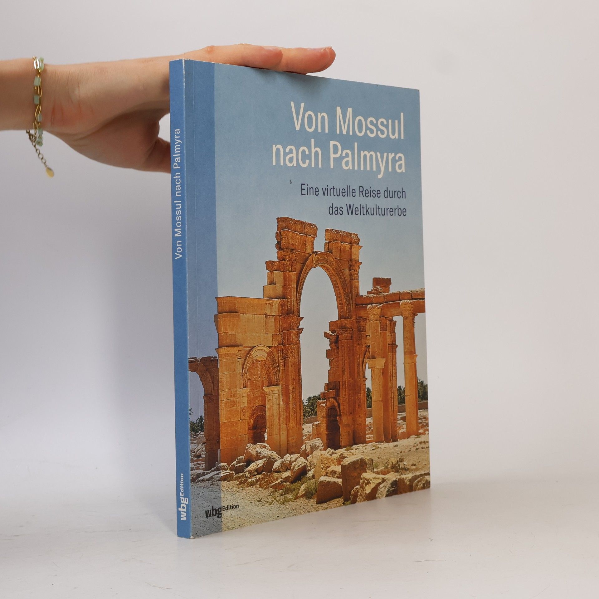 Aure lie Clemente Ruiz Von Mossul nach Palmyra