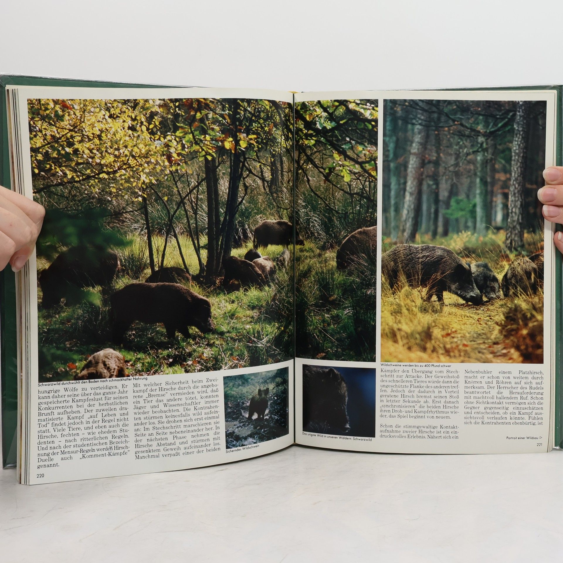 Various authors Naturwunder Deutschland