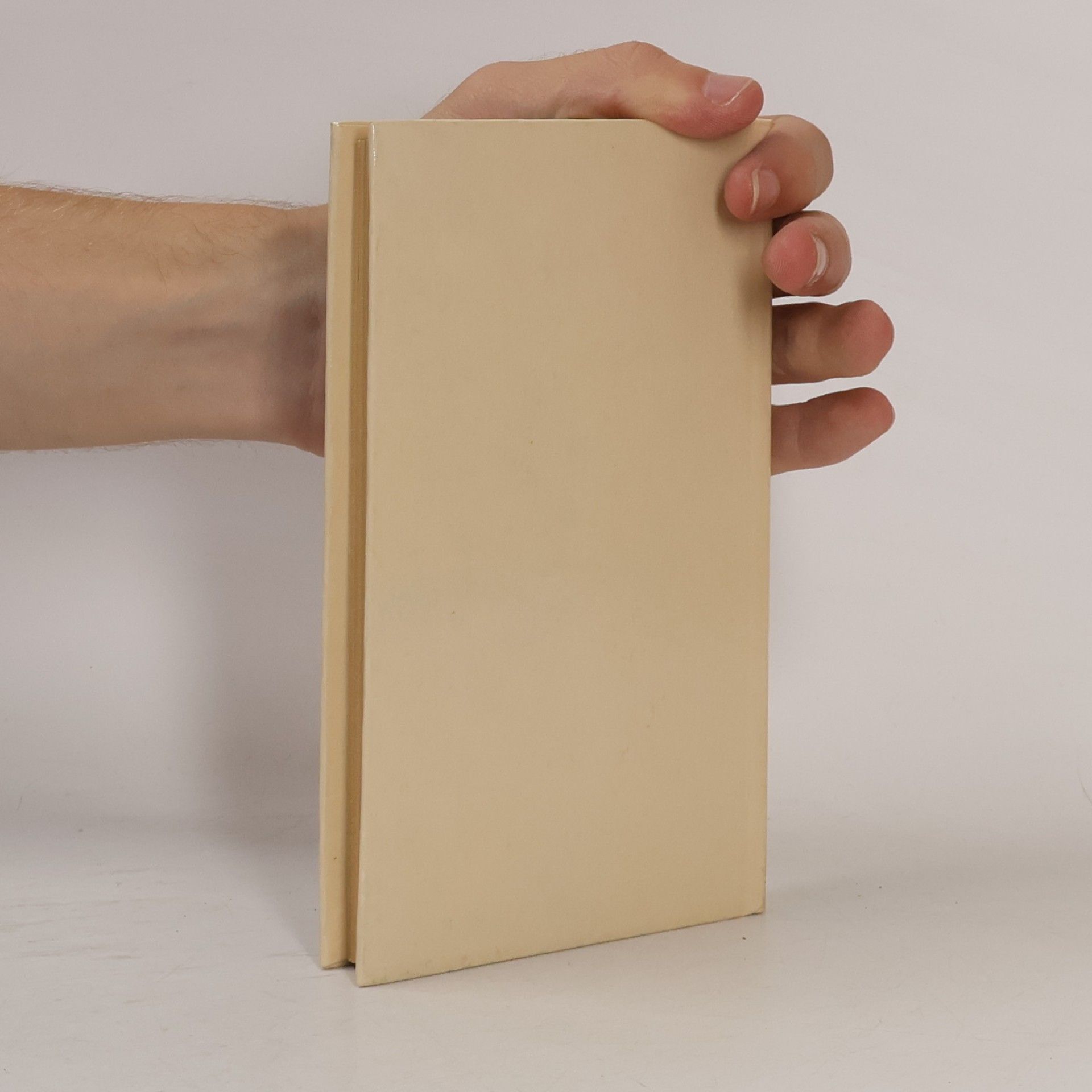 Slang Das amtliche Knie. Feuilletons, Humoresken, Gedichte