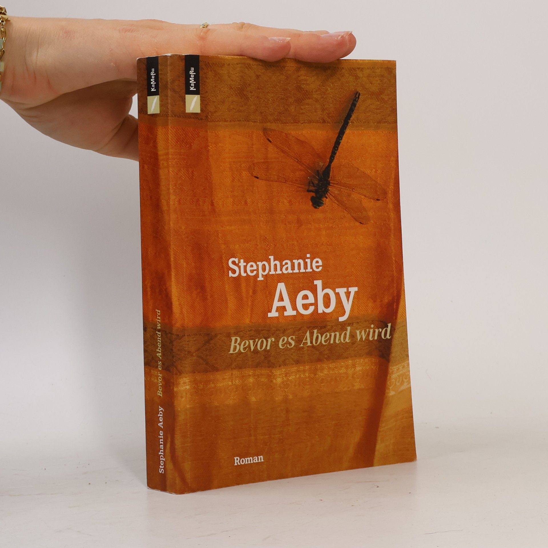 Stephanie Aeby Bevor es Abend wird