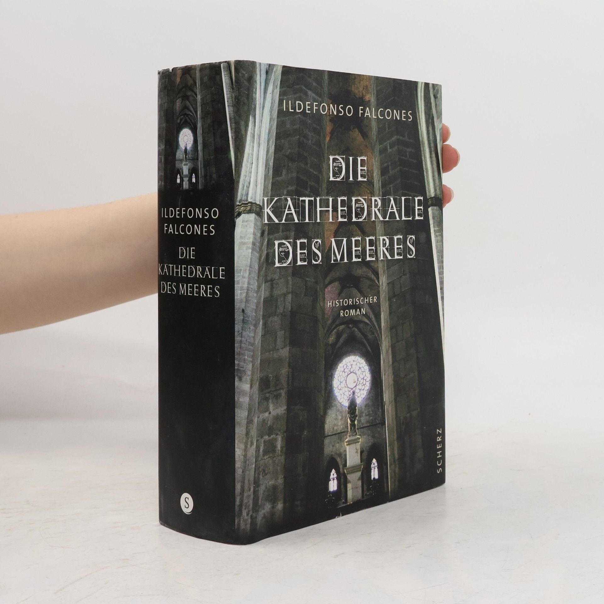 Ildefonso Falcones Die Kathedrale des Meeres