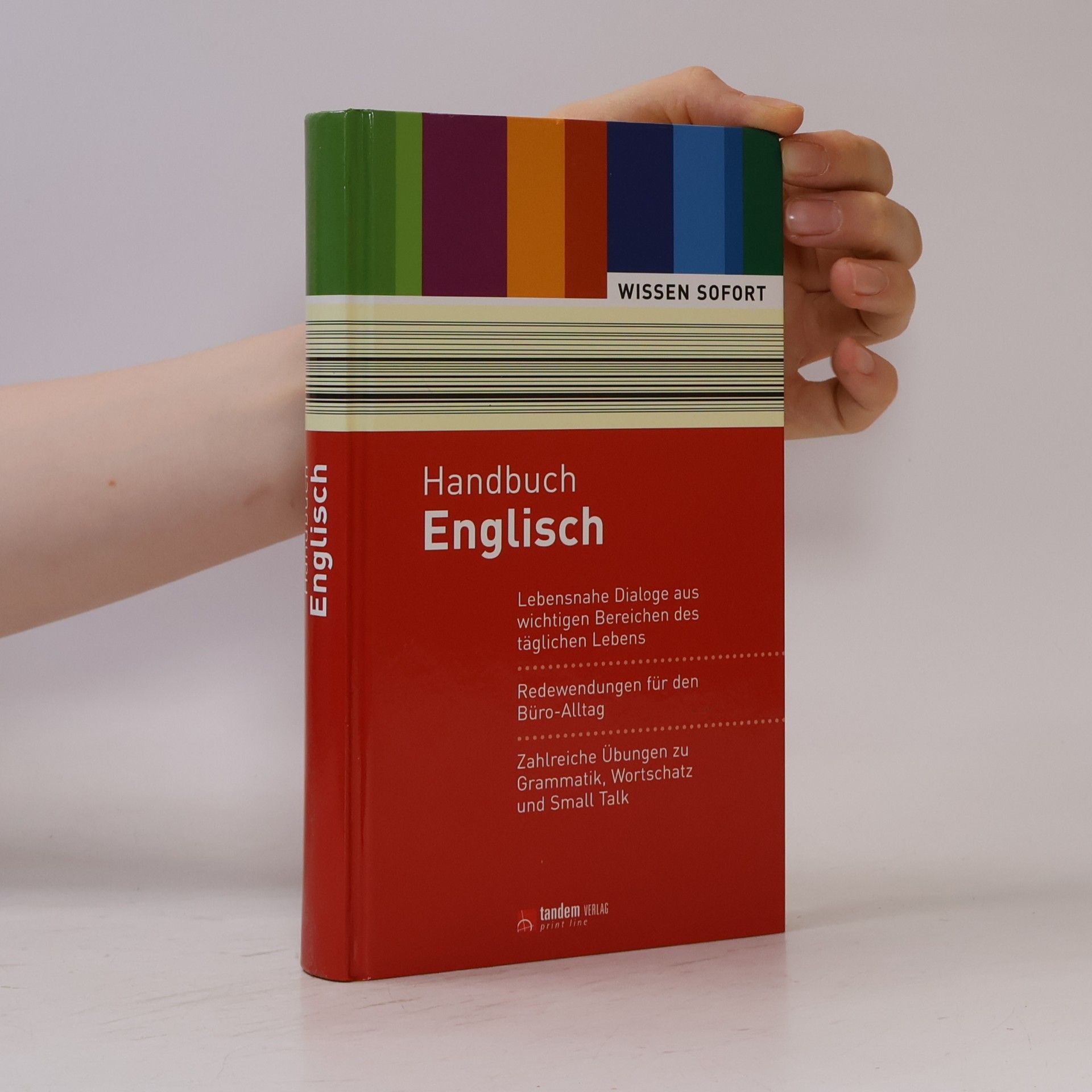 Autorenkollektiv Handbuch Englisch