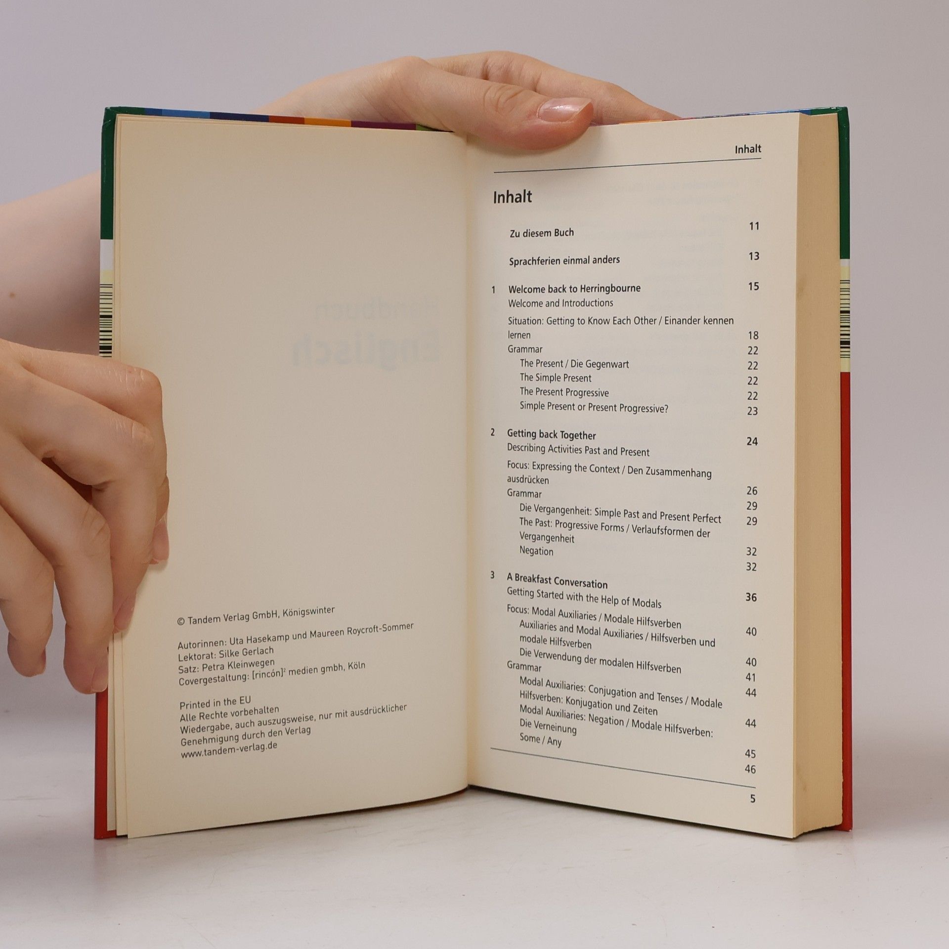 Autorenkollektiv Handbuch Englisch