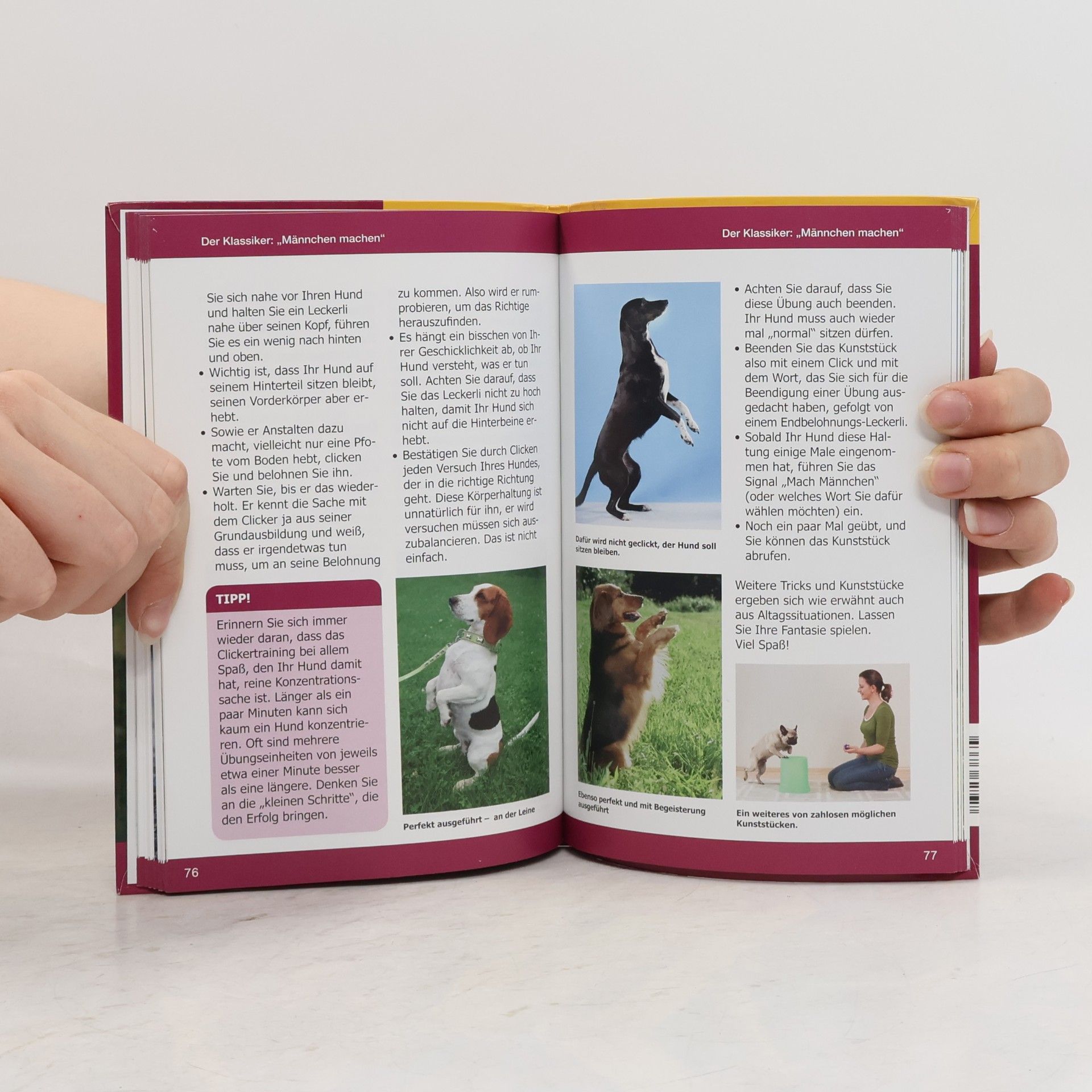 Autorenkollektiv Clickertraining mit dem hund