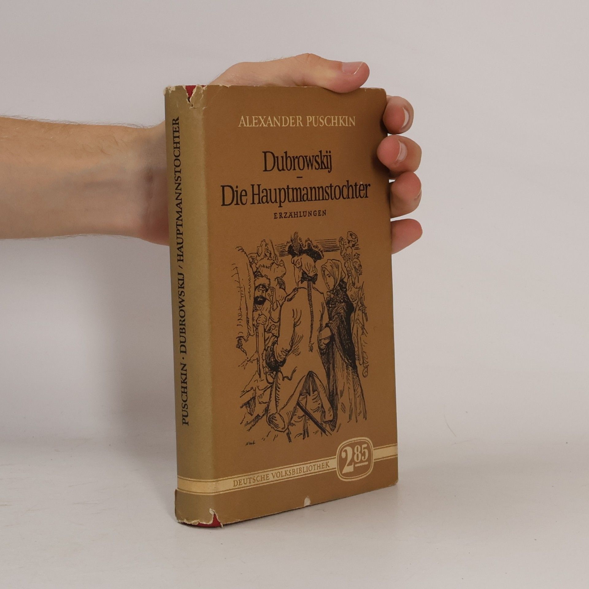 Aleksandr Sergejevič Puškin Dubrowskij. Die Hauptmannstochter