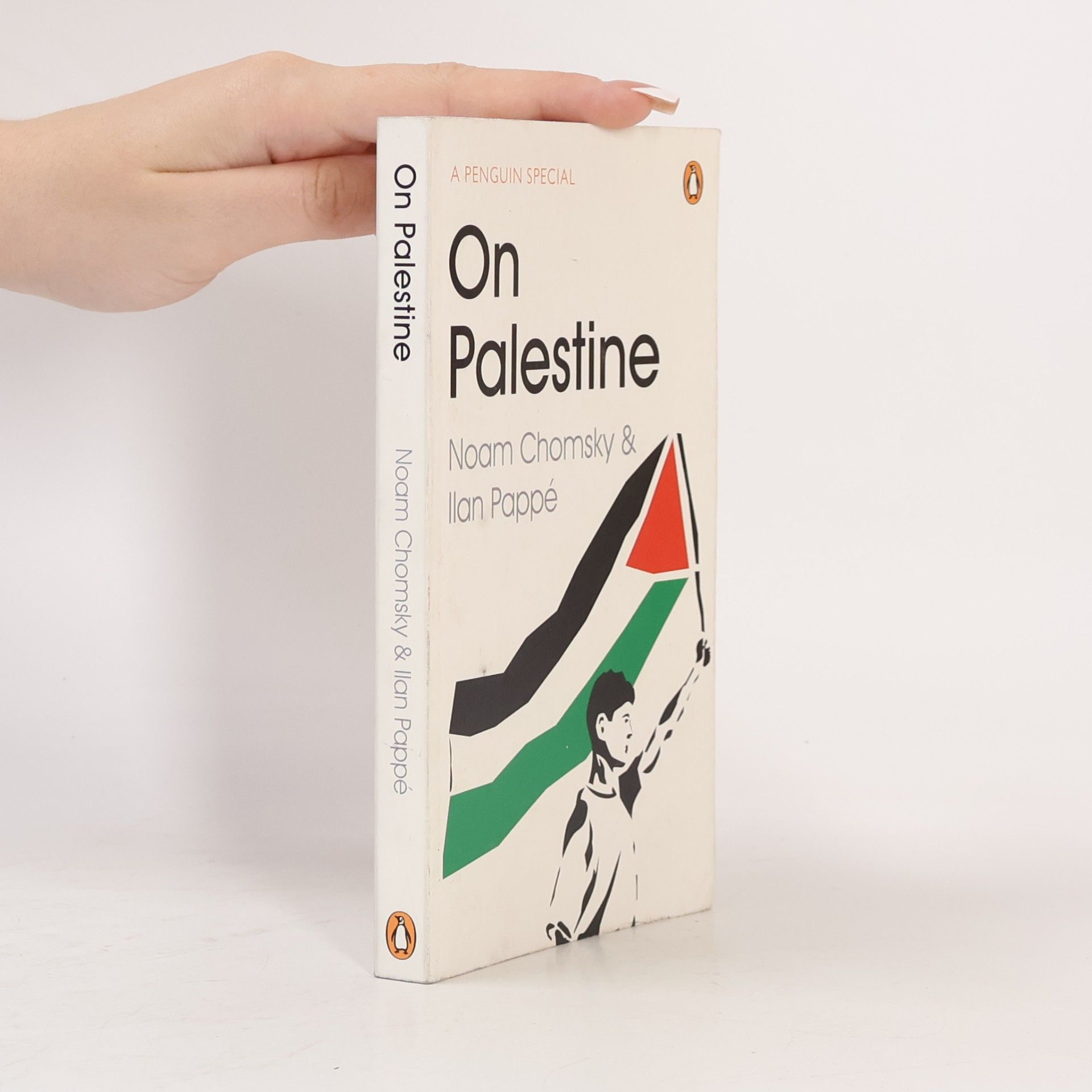 Noam Chomsky On Palestine