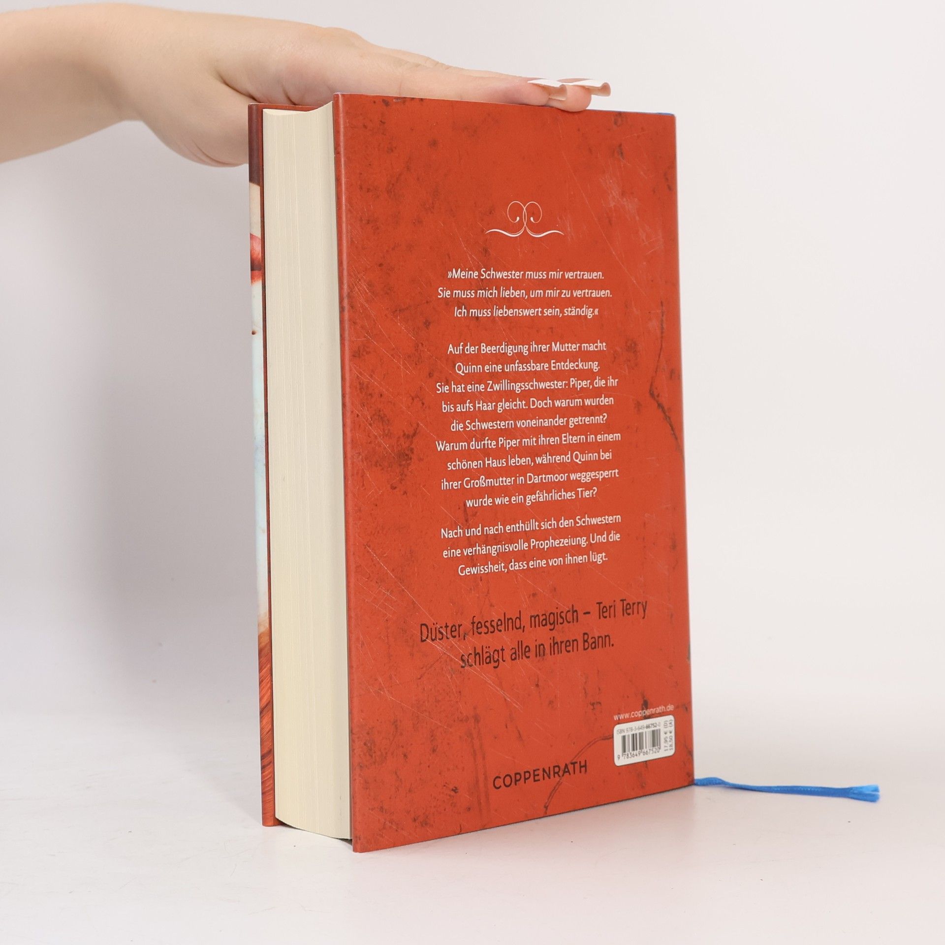 Teri Terry Book of Lies