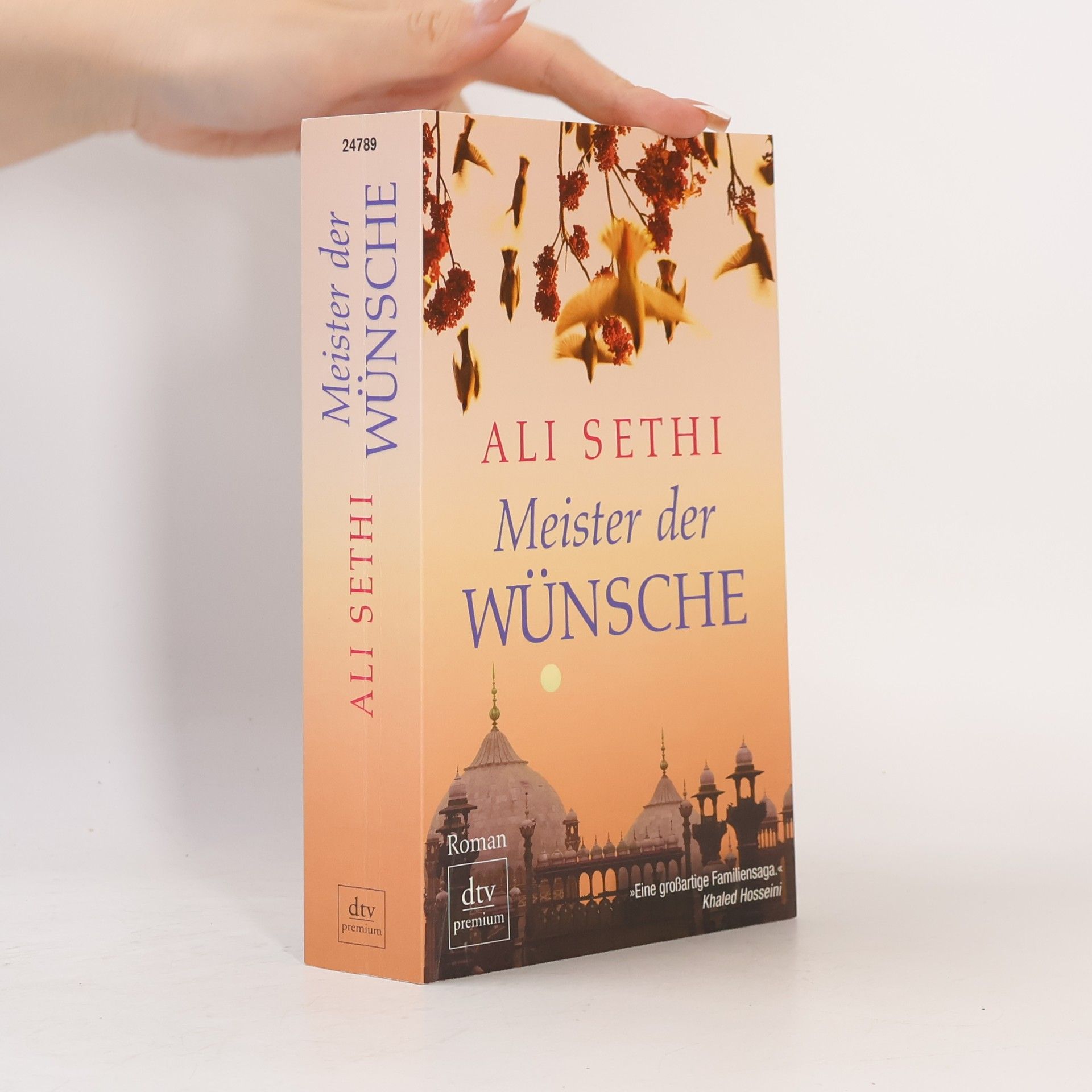 Ali Sethi Meister der Wünsche