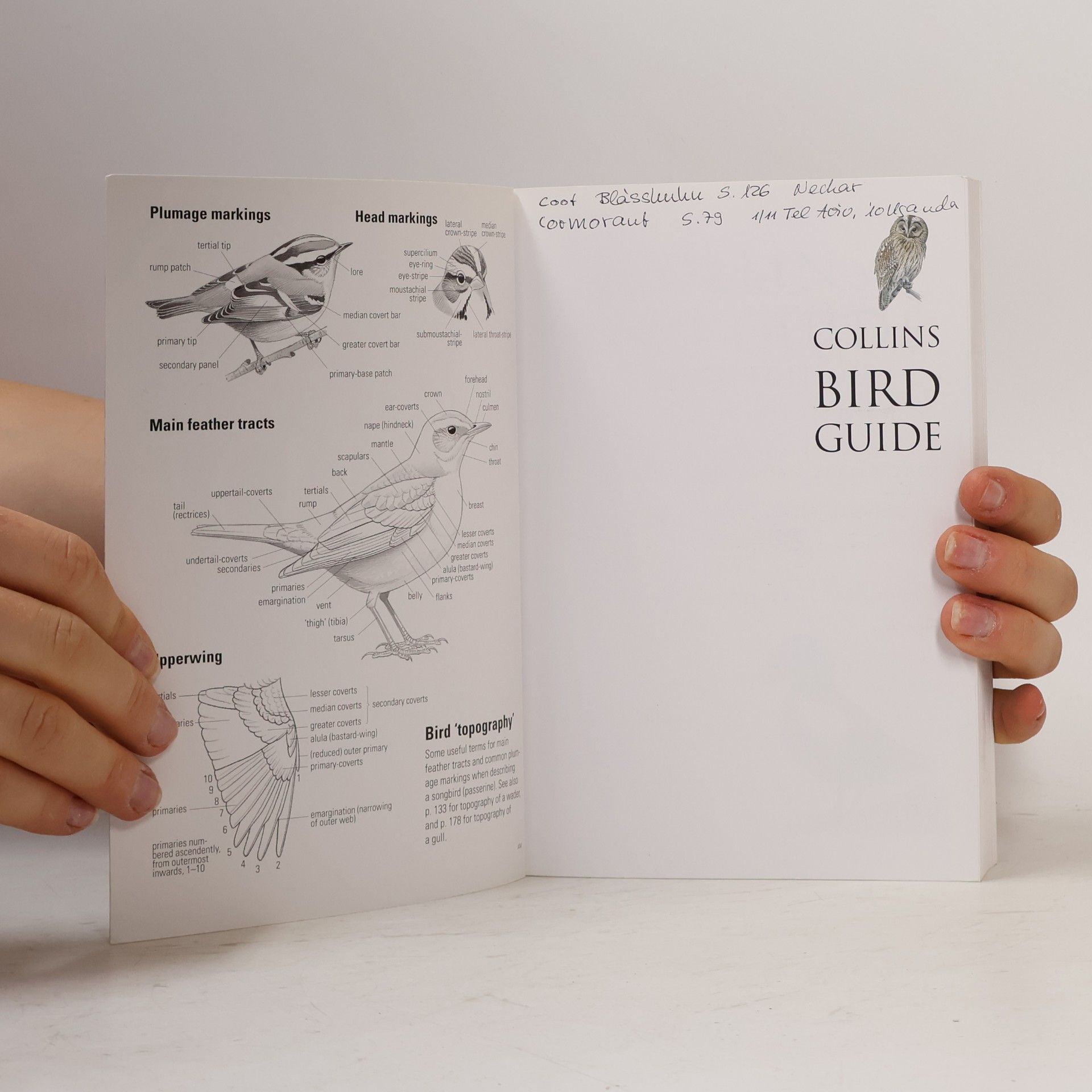 Lars Svensson Collins Bird Guide