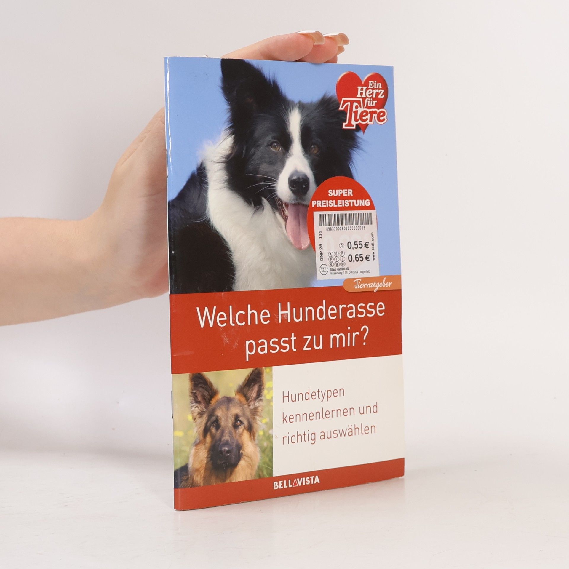 Autores varios Welche Hunderasse passt zu mir?