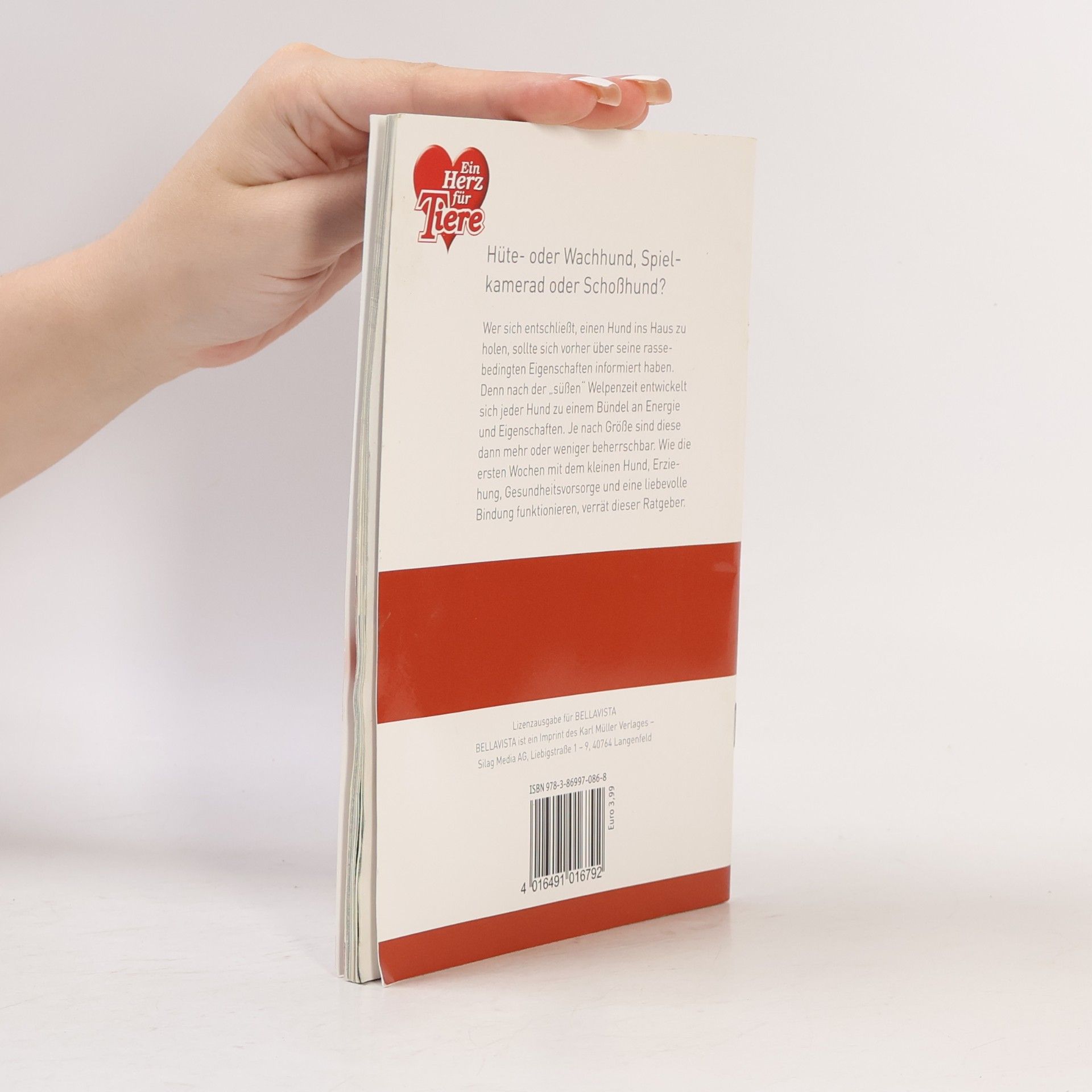 Autores varios Welche Hunderasse passt zu mir?