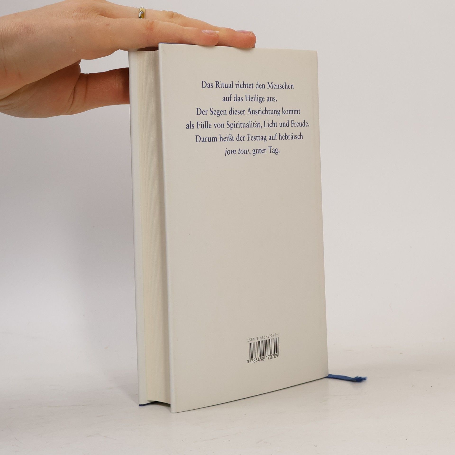 Efrat Gal-Ed Das Buch der jüdischen Jahresfeste