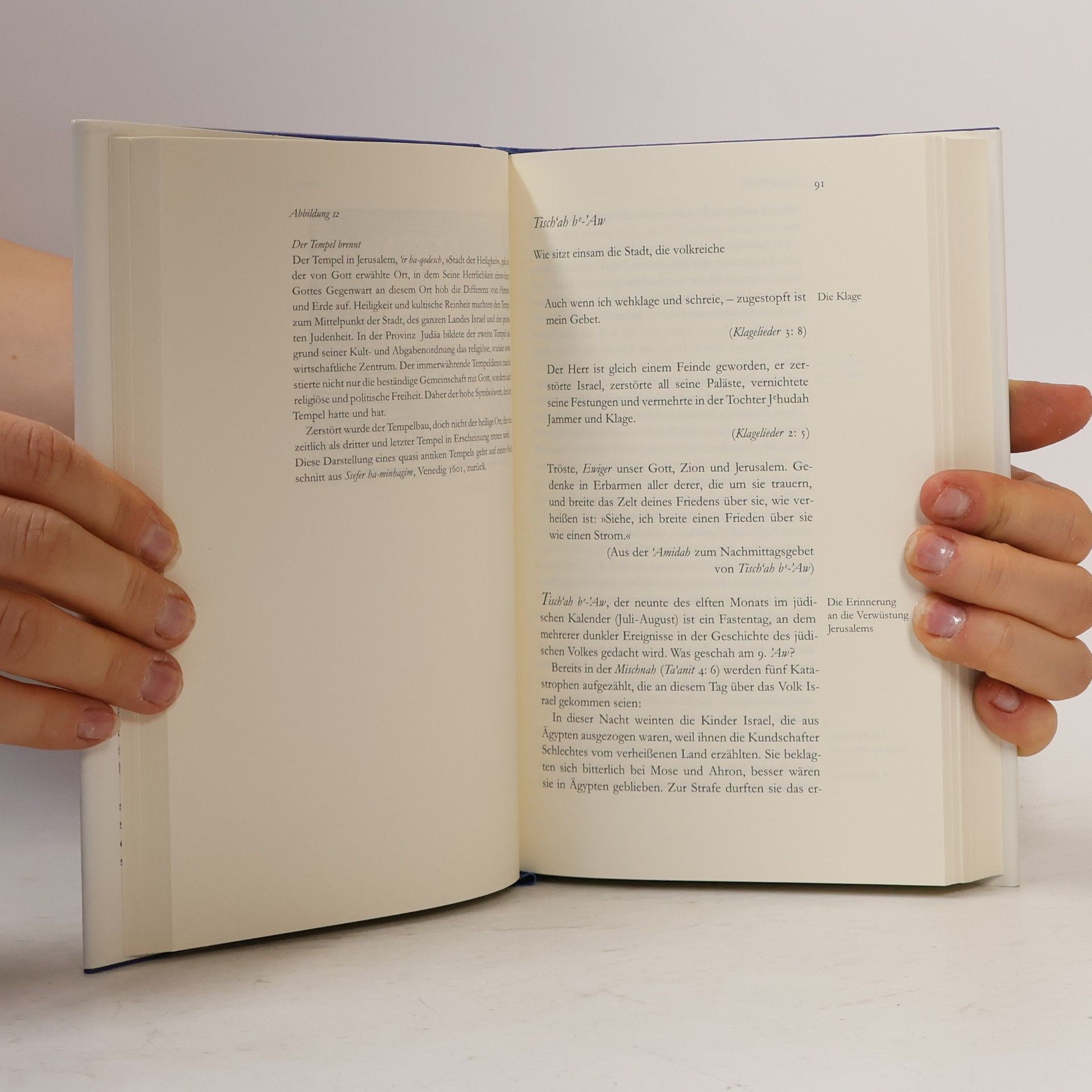 Efrat Gal-Ed Das Buch der jüdischen Jahresfeste