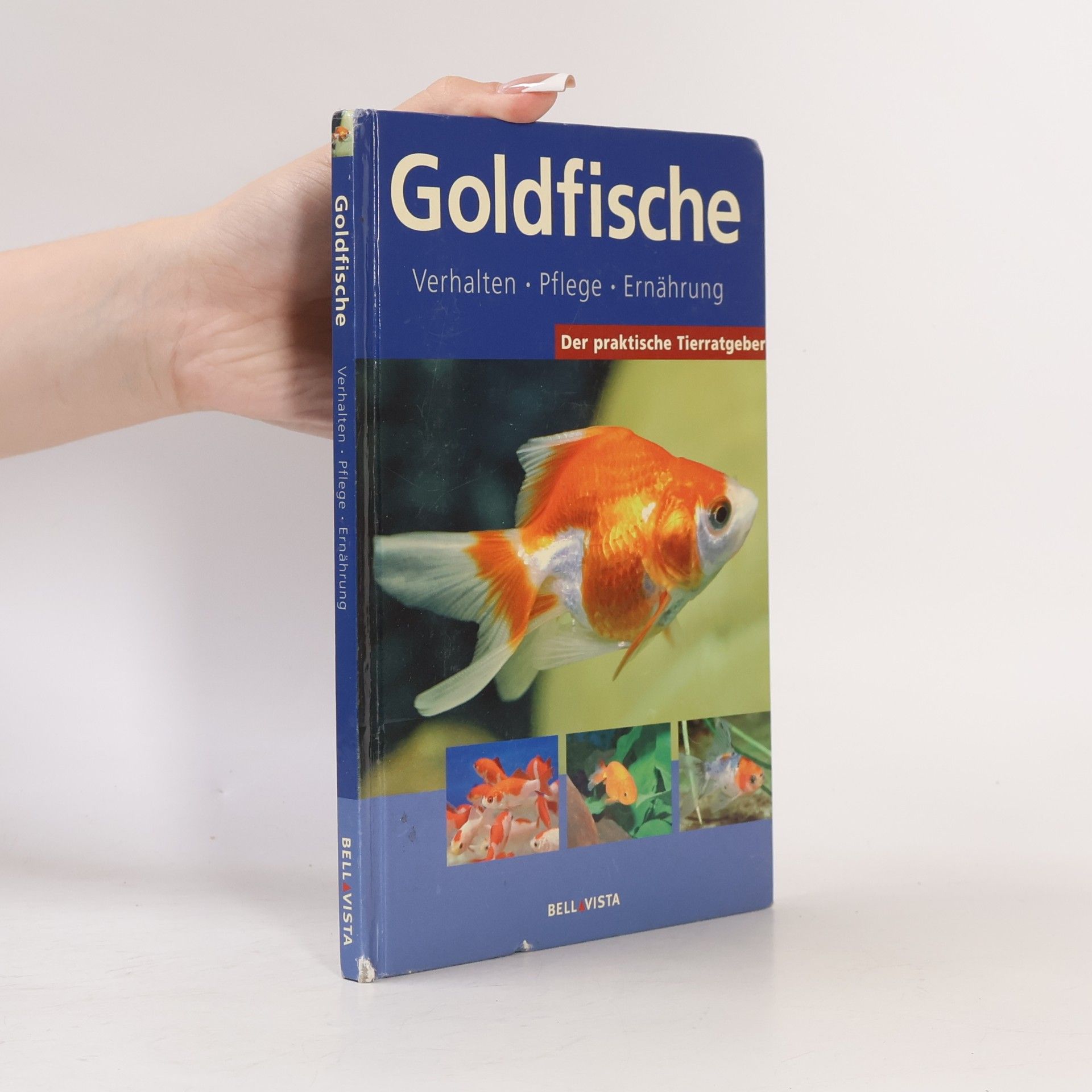 Autorenkollektiv Goldfische. Verhalten, Pflege, Ernährung