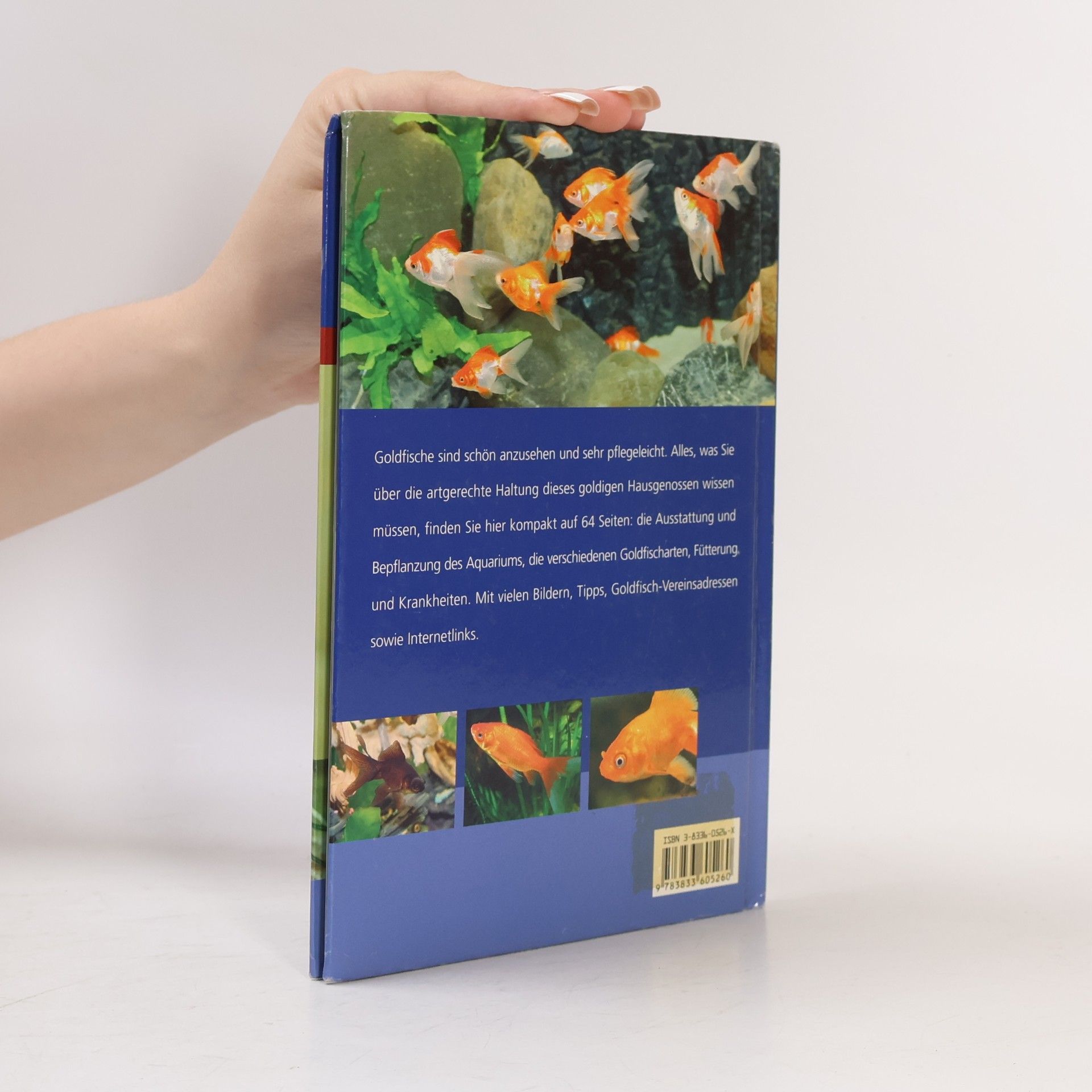 Kolektiv autorů Goldfische. Verhalten, Pflege, Ernährung
