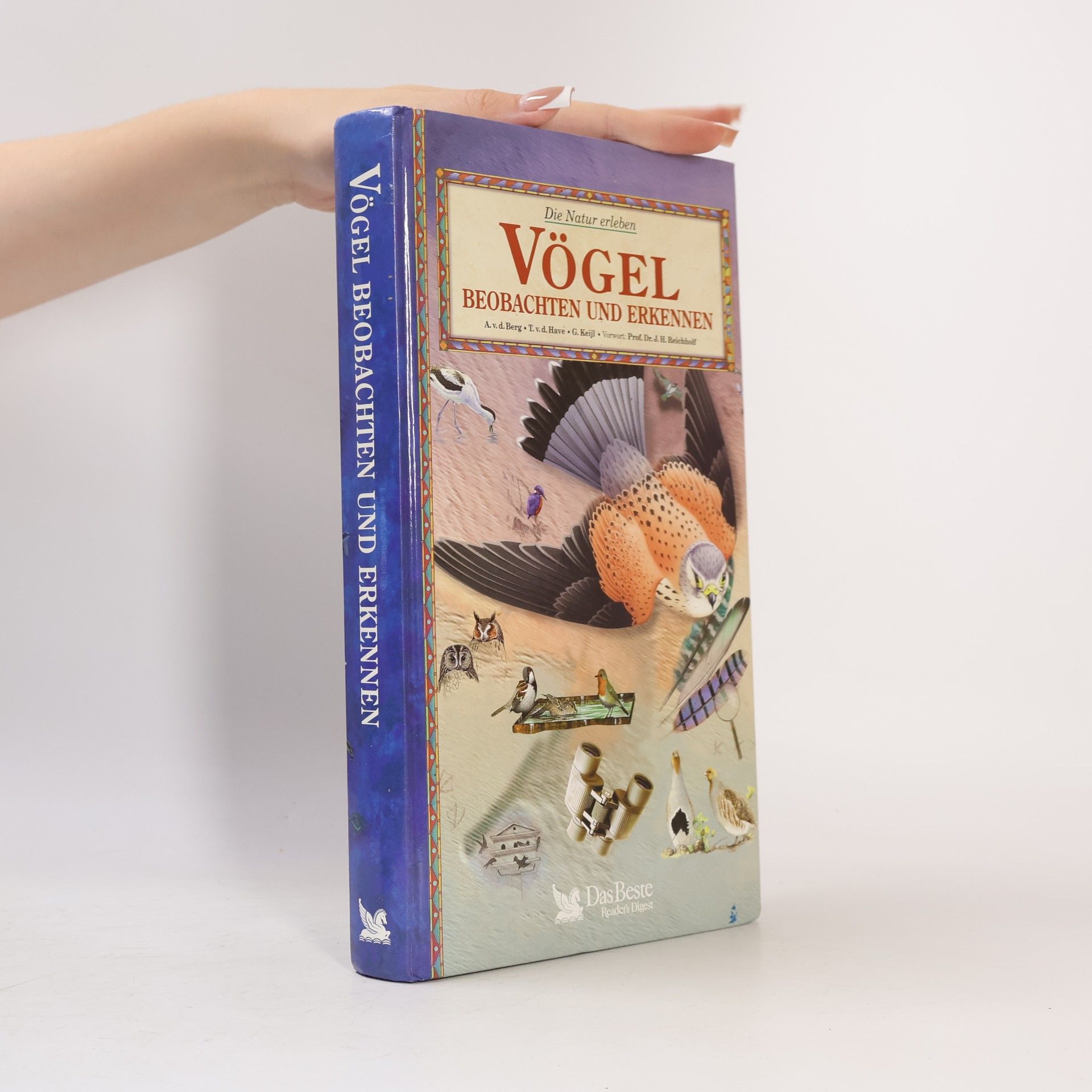 Arnoud van den Berg Vögel beobachten und erkennen