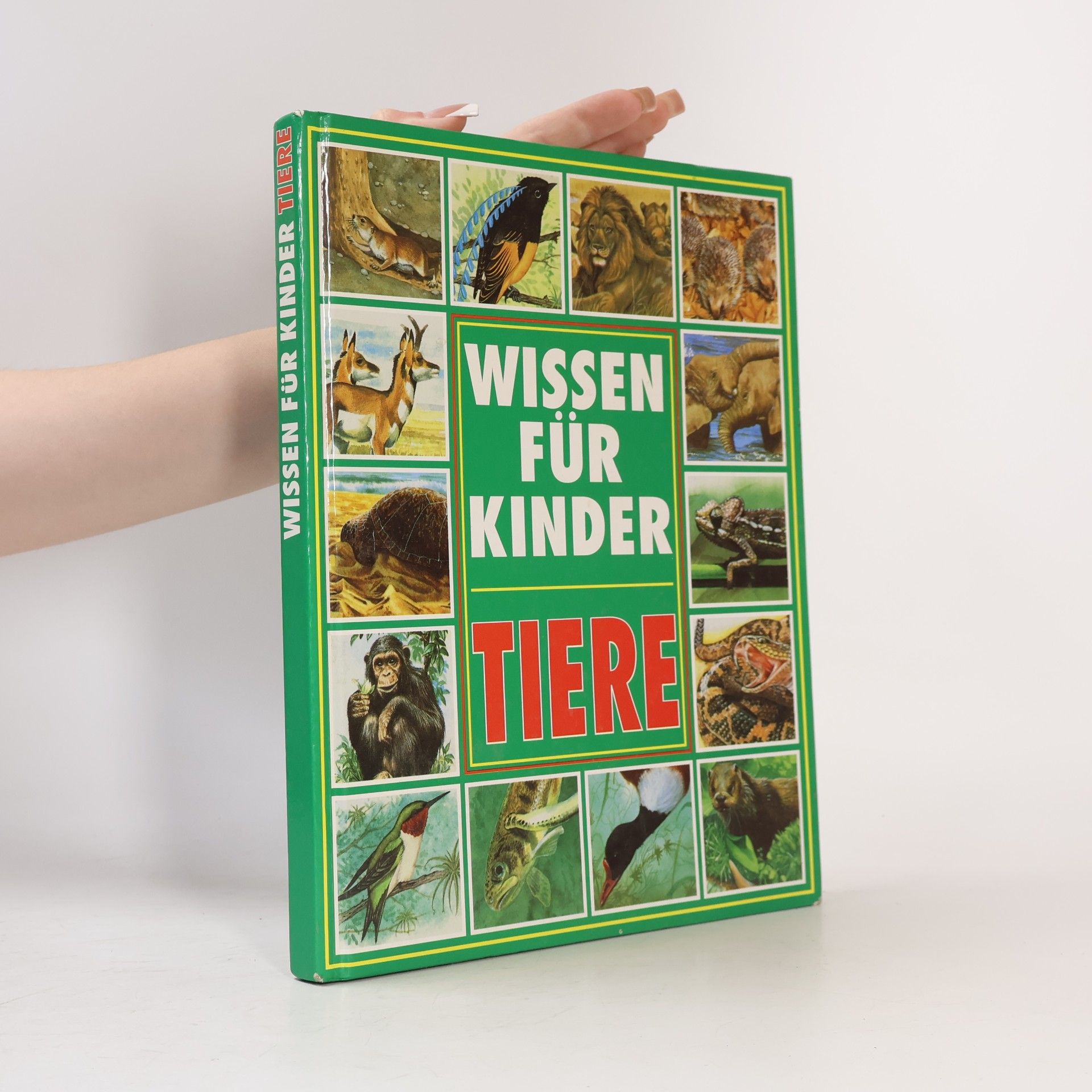 Michele Stable Tiere. Wissen für Kinder