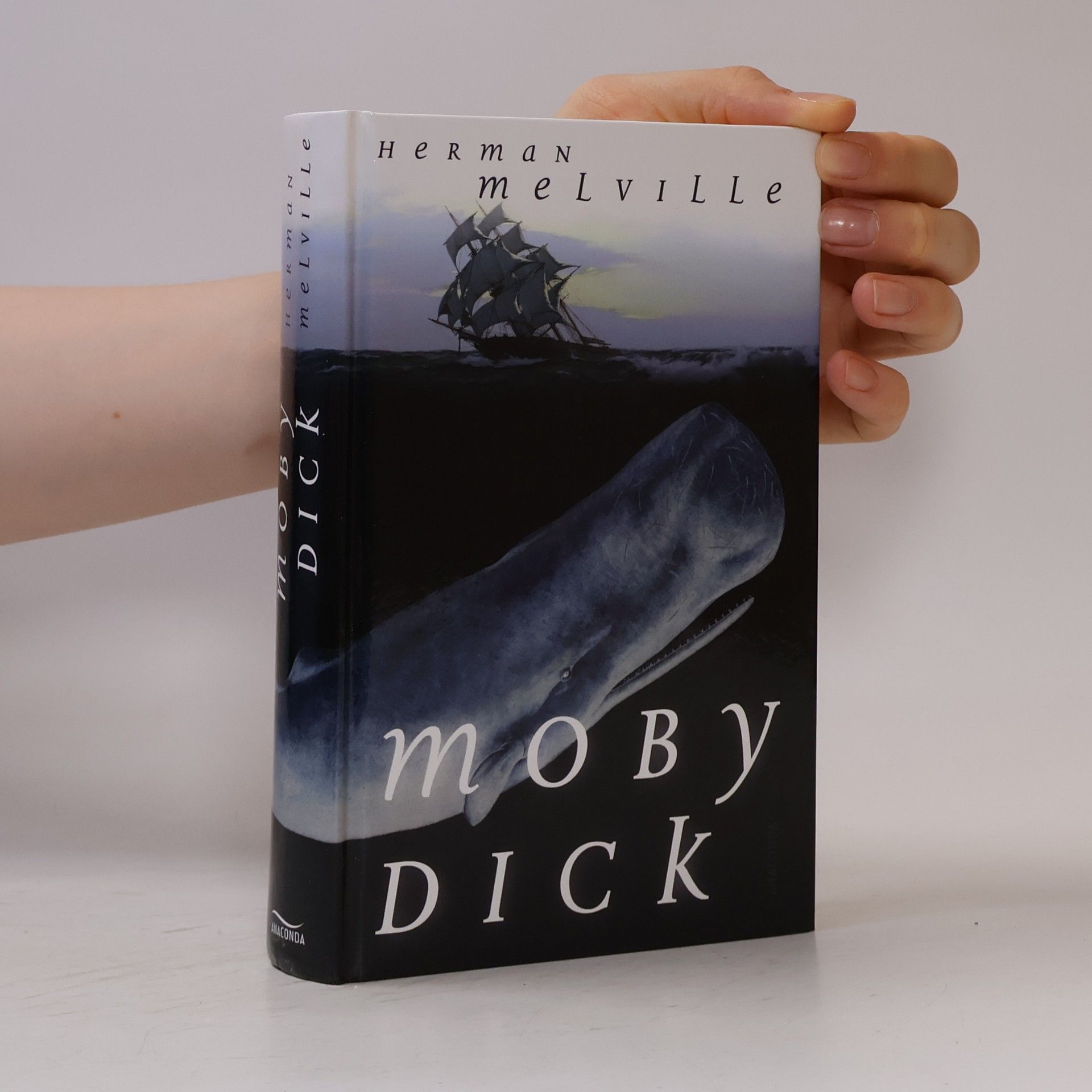 Herman Melville Moby Dick oder der weiße Wal