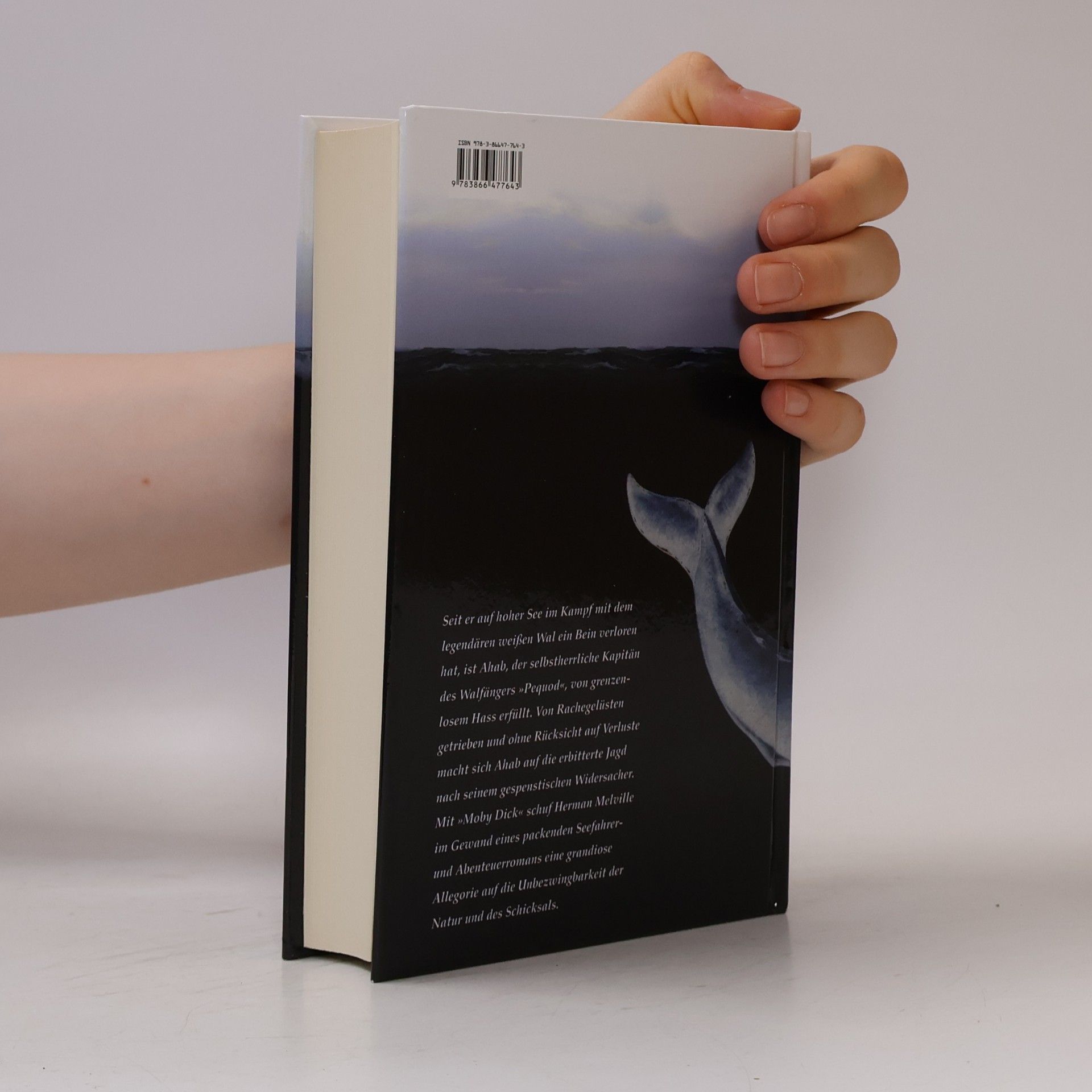 Herman Melville Moby Dick oder der weiße Wal